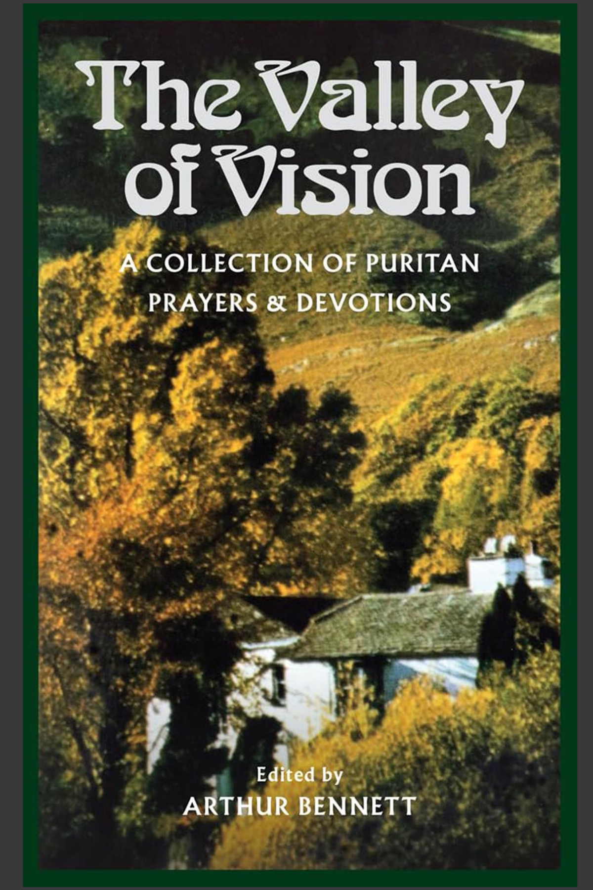 vally of vision 2.png