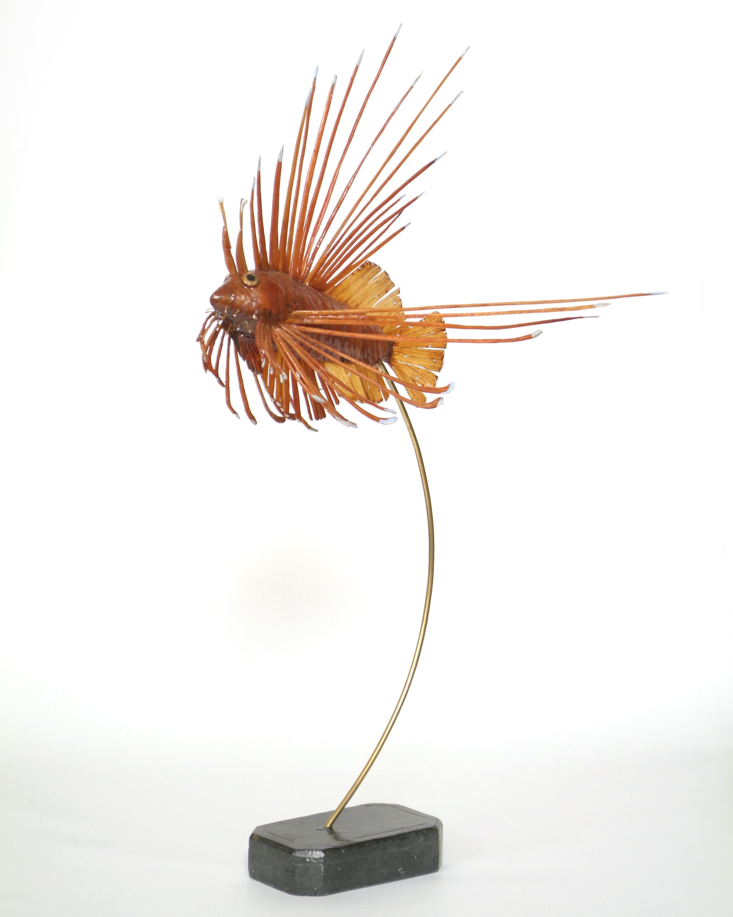 Clearfin Lionfish