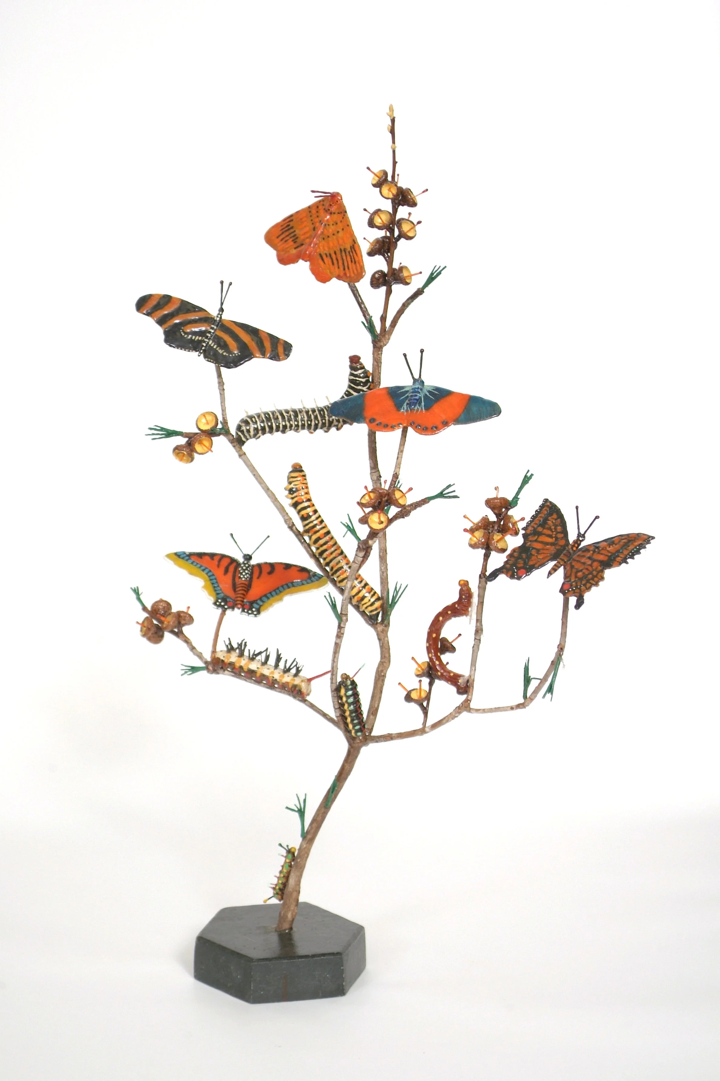 The Butterfly Bush