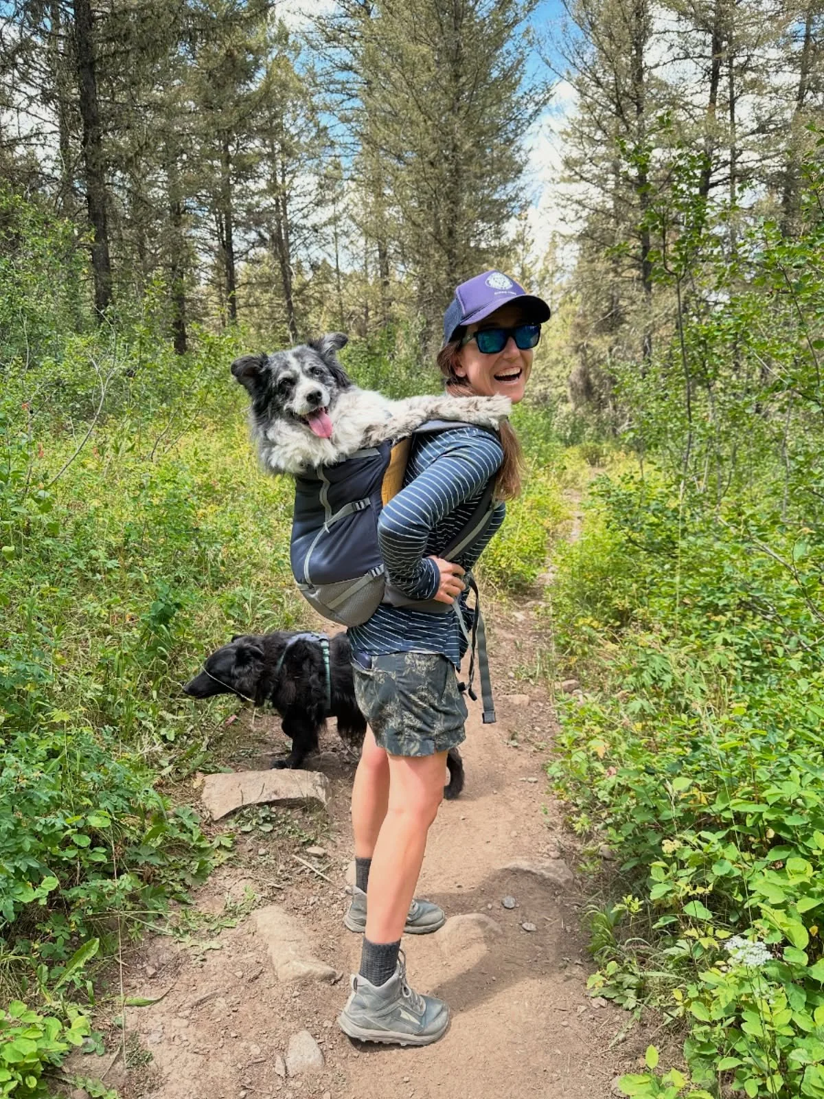 Hi friends! I know, I&rsquo;ve been a little quiet around here - lots of behind the scenes marketing &amp; design projects these days for awesome clients, and building some fun Snowdrop things, too! Excited to show up online more and share what I&rsq