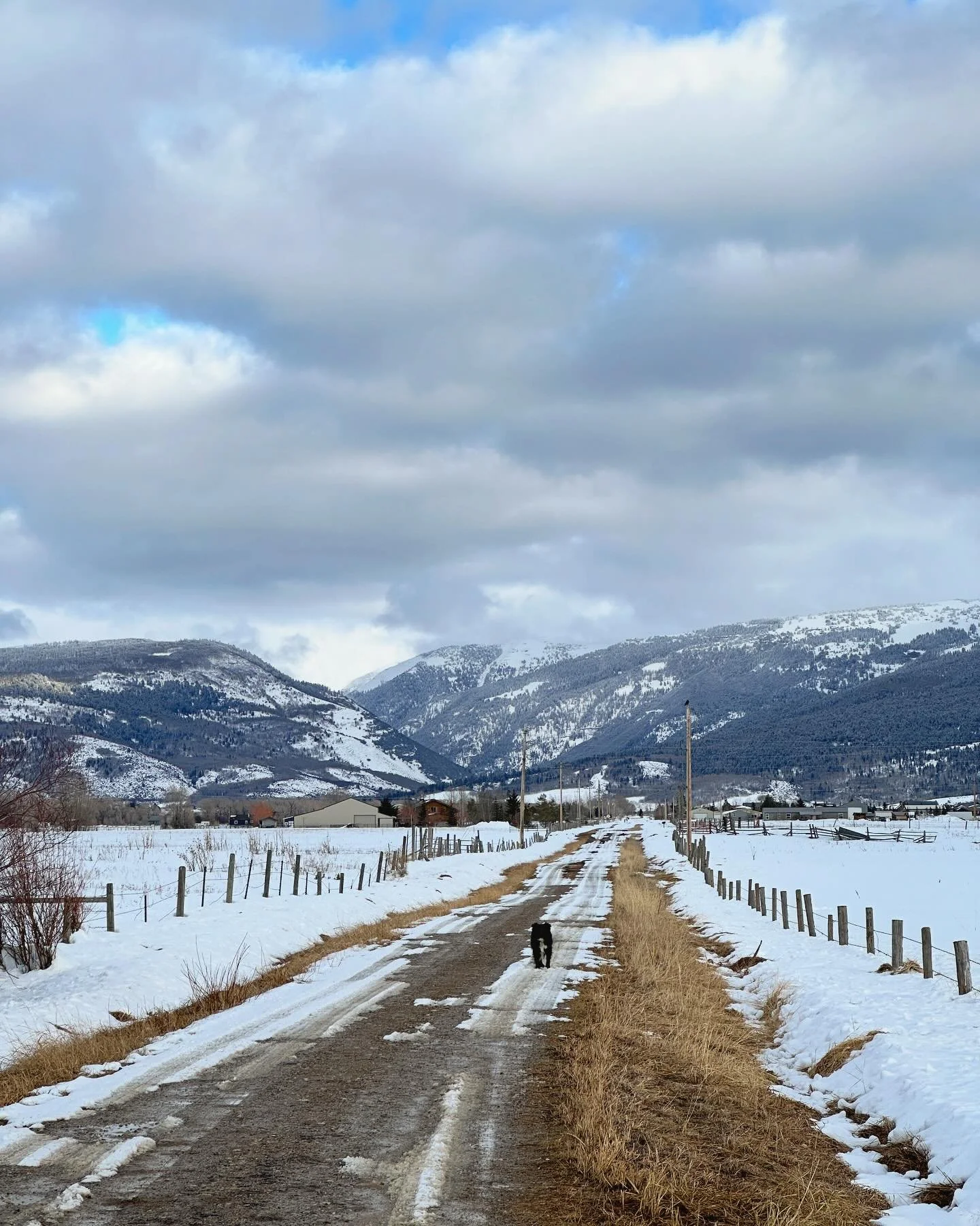 Midday dog walks (and XC ski sessions) have been great life and business reminders lately:

- Small steps really add up over time! The doggos and I have walked and skied about 80 miles this year so far just out the back door - around the neighborhood