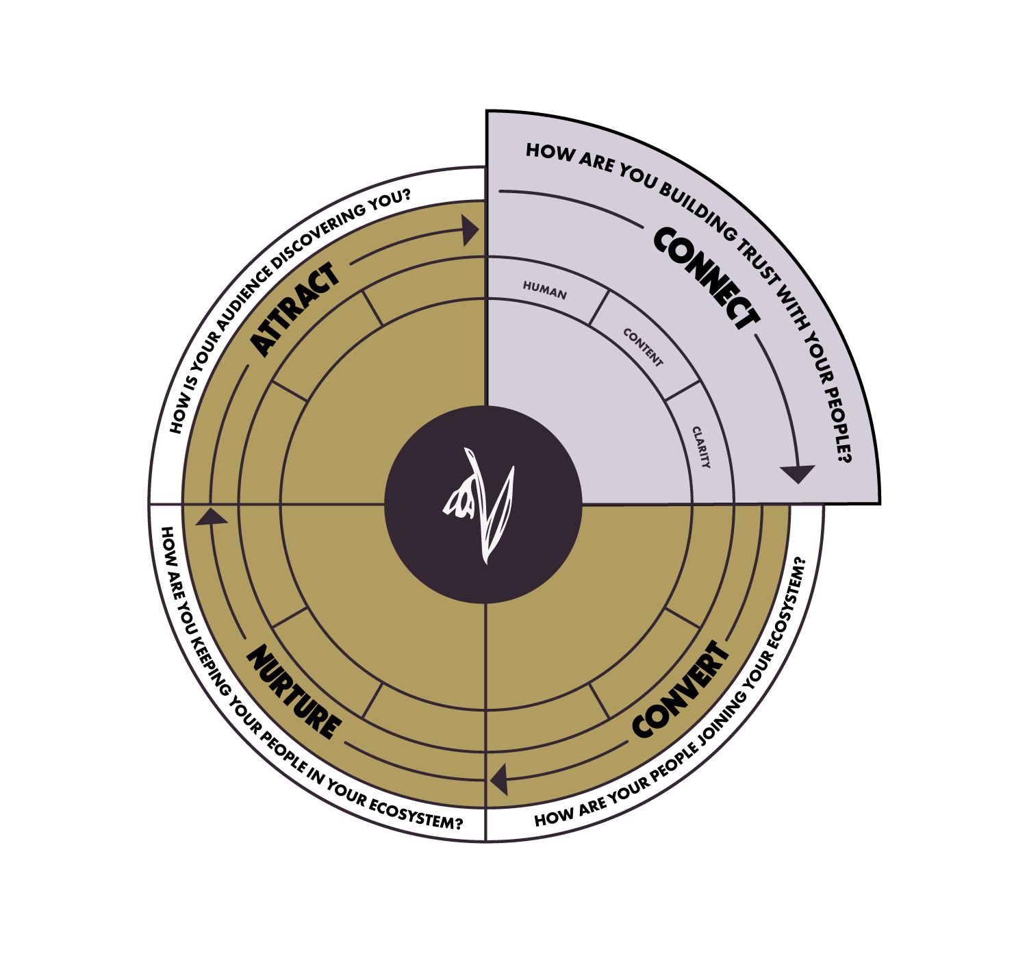 The ACCN Marketing Framework - Connect | Snowdrop Creative