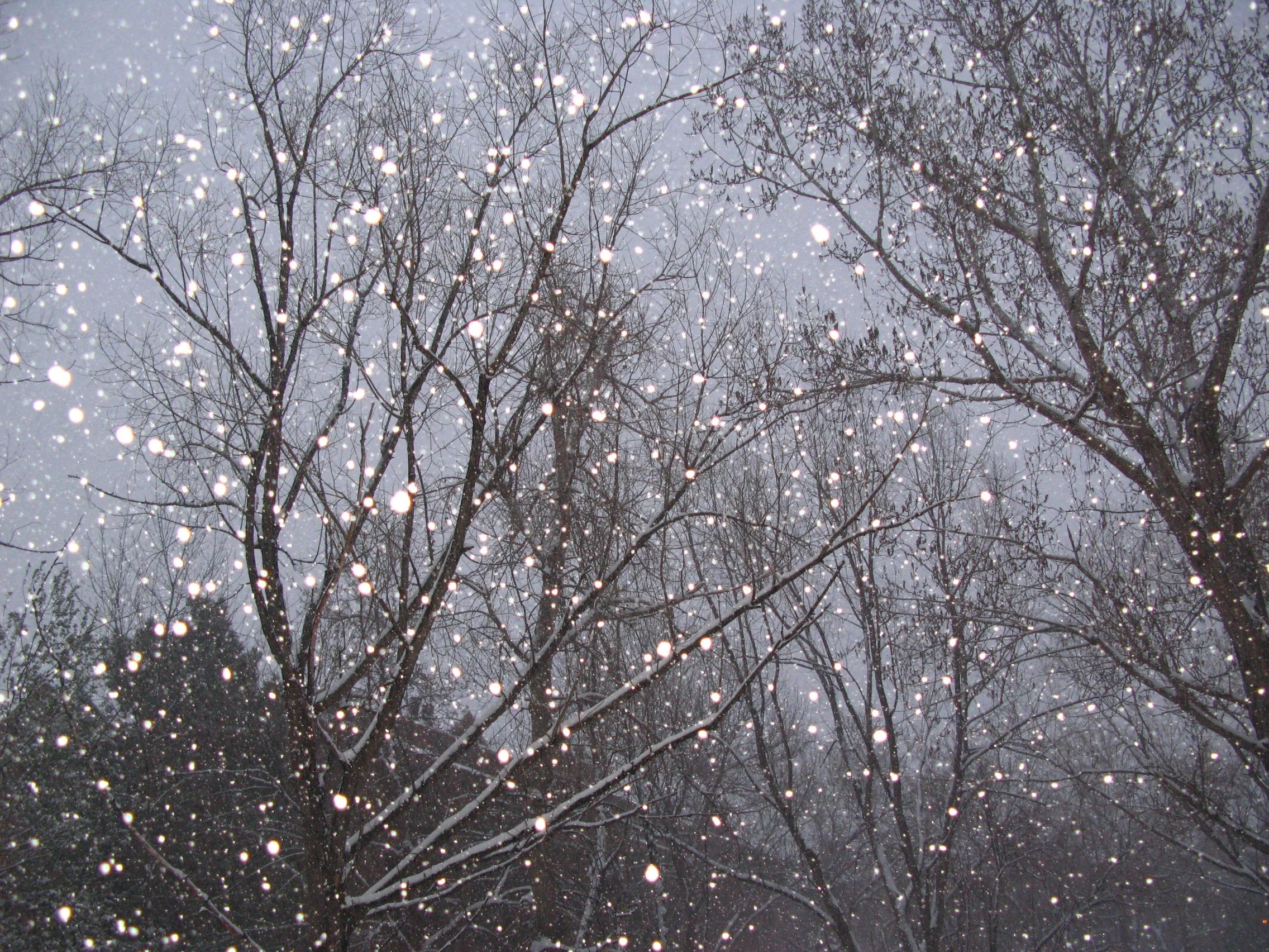 A blizzard in March, with snowflakes reflecting the light of the camera flash | Snowdrop Creative
