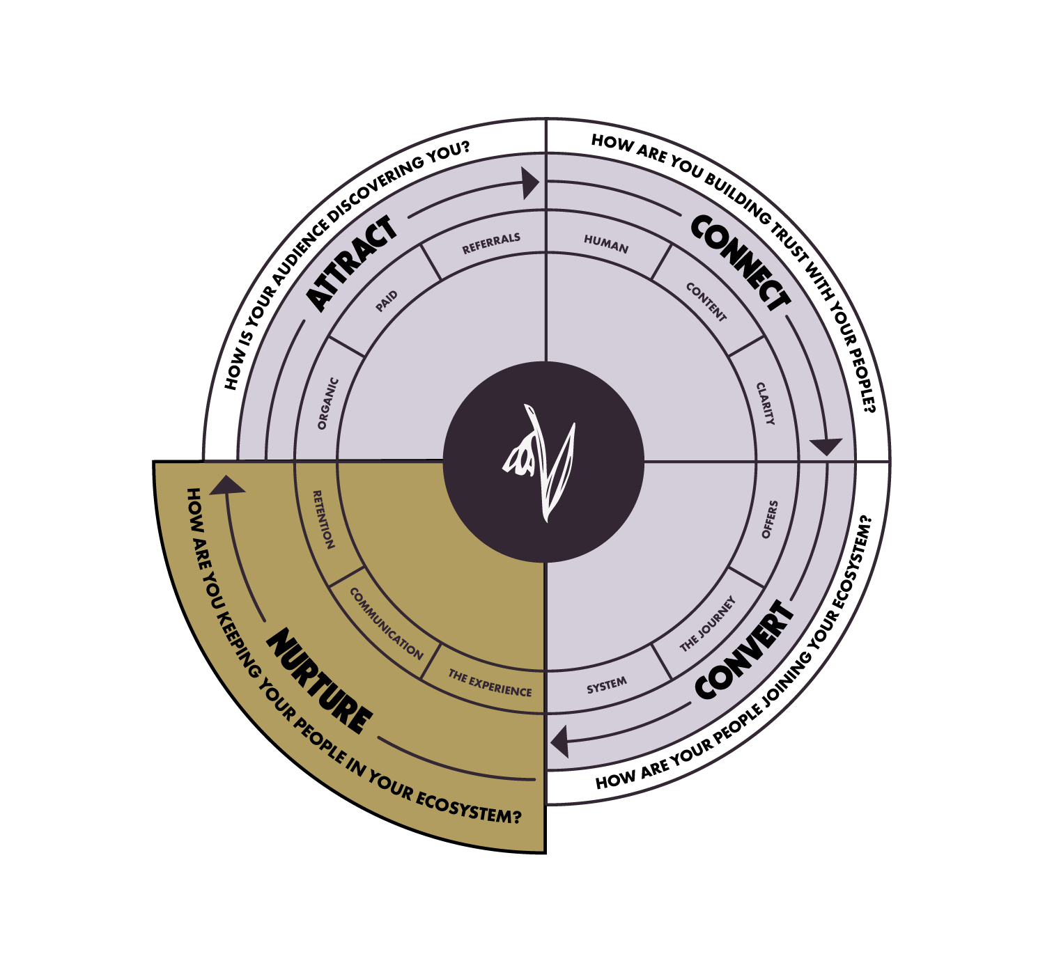 The ACCN Marketing Framework - Nurture | Snowdrop Creative