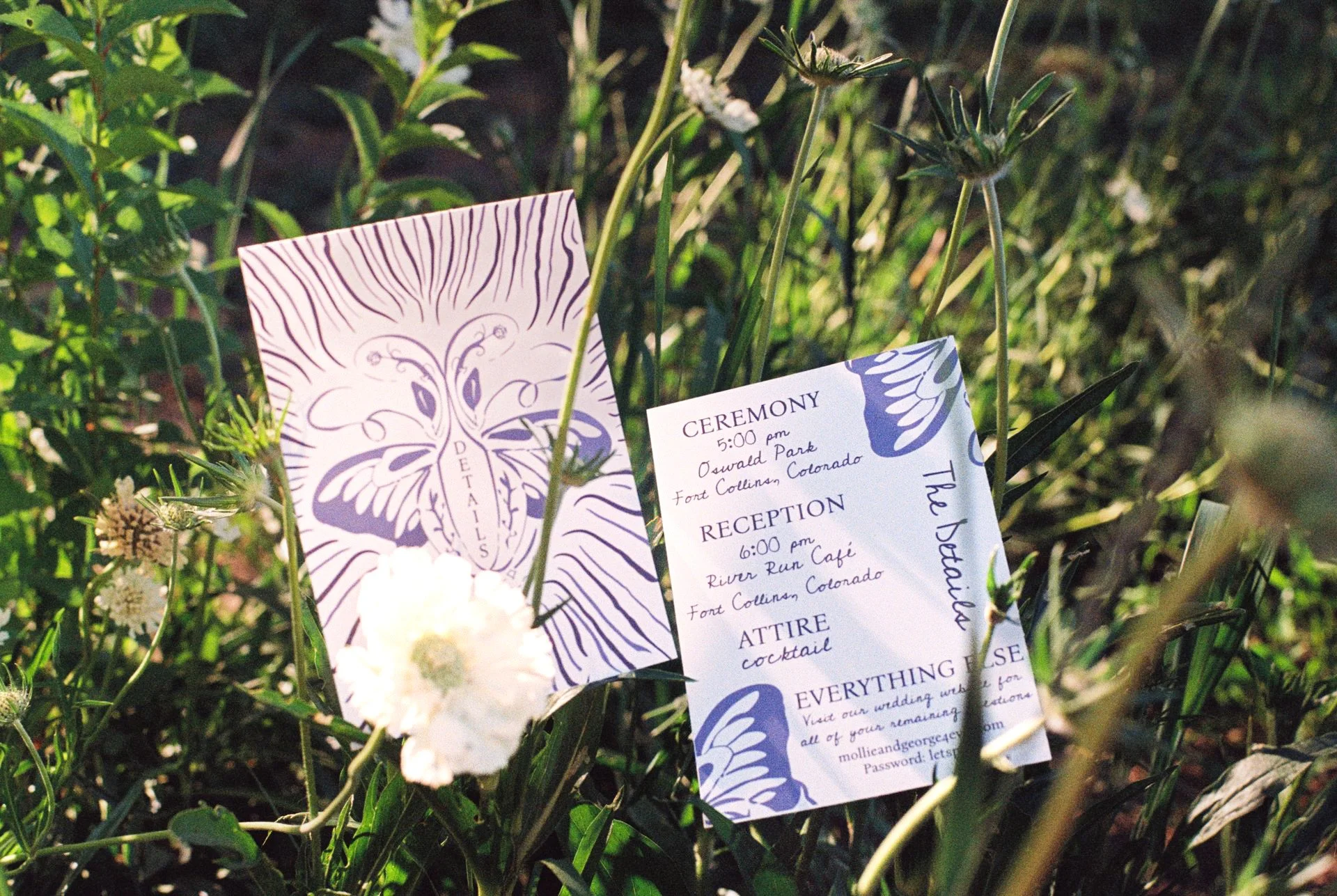 stationary branding in flower farm on film