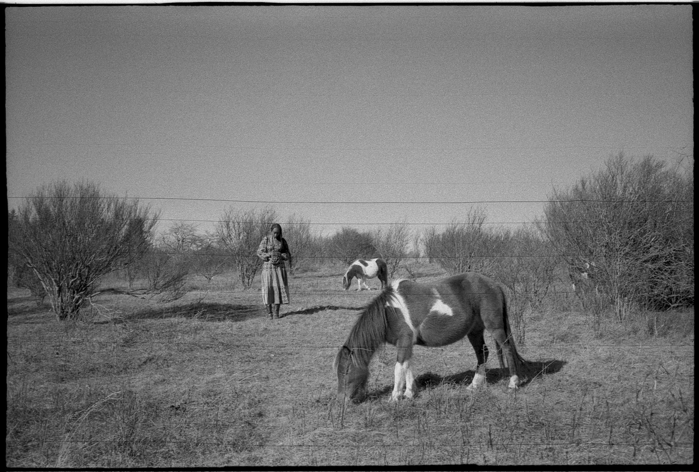 Film I Reach For When I Want to Remember