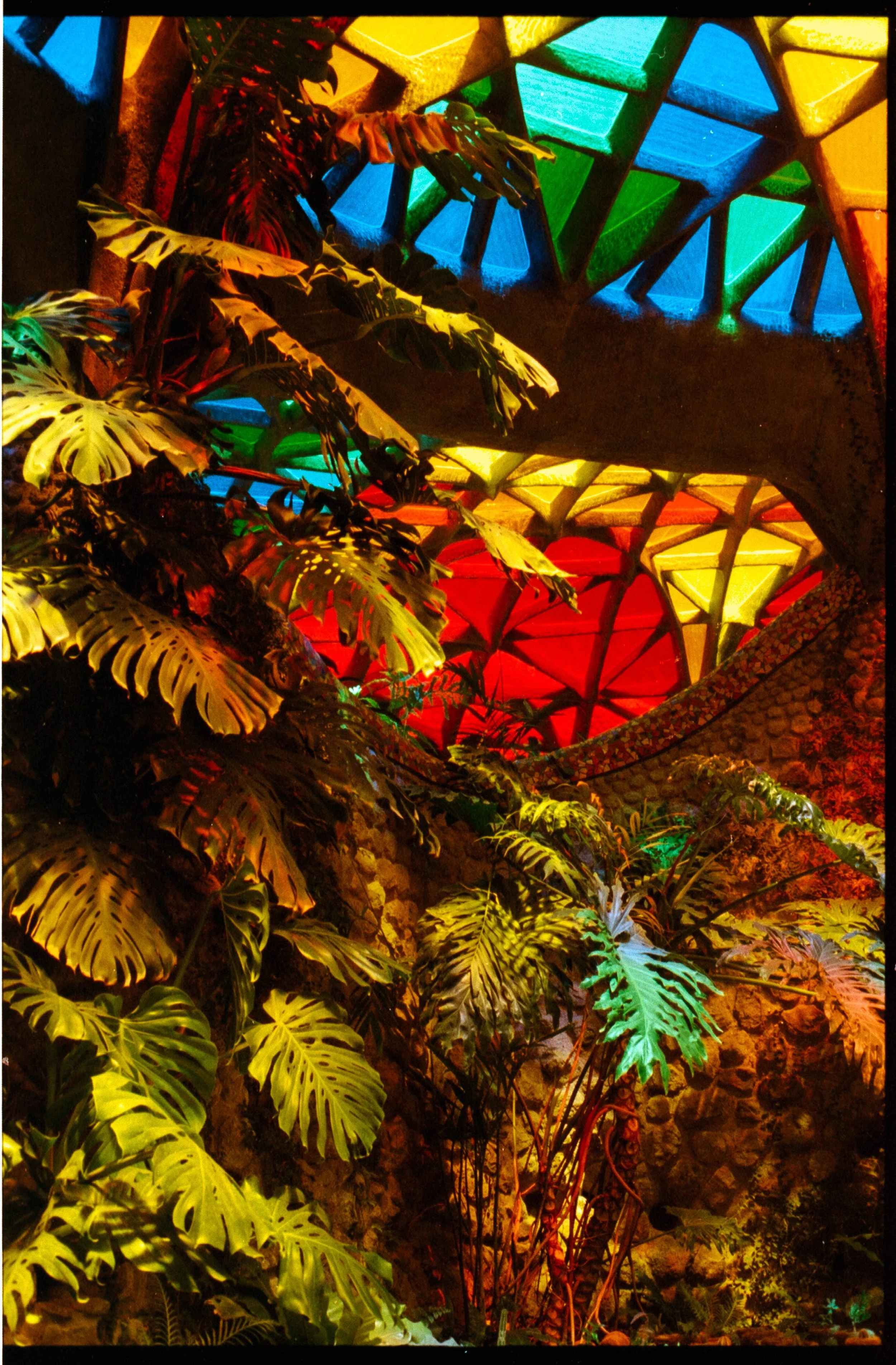 parque- quetzalcoatl-mexico-city-film.JPG