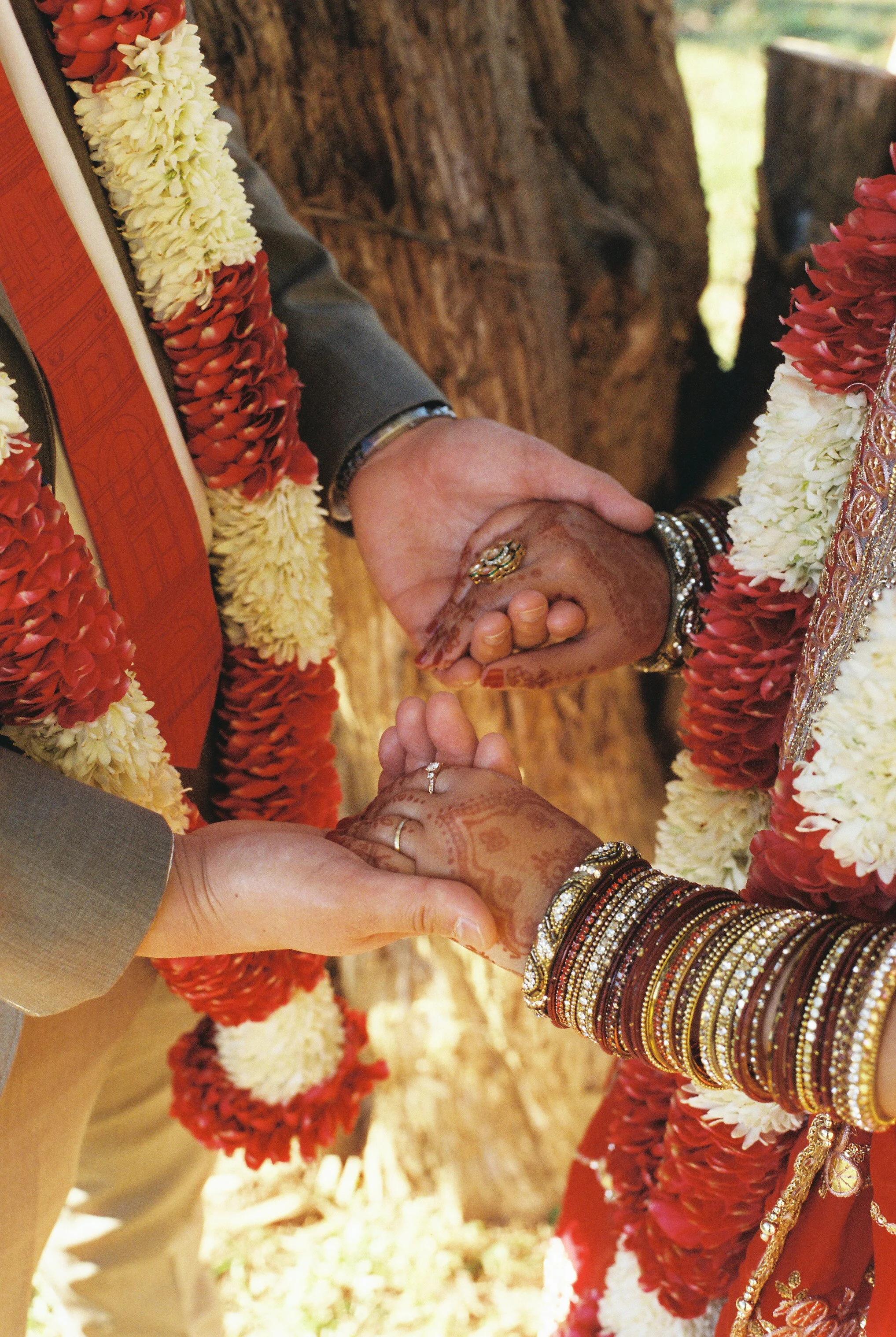 Color & Ceremony