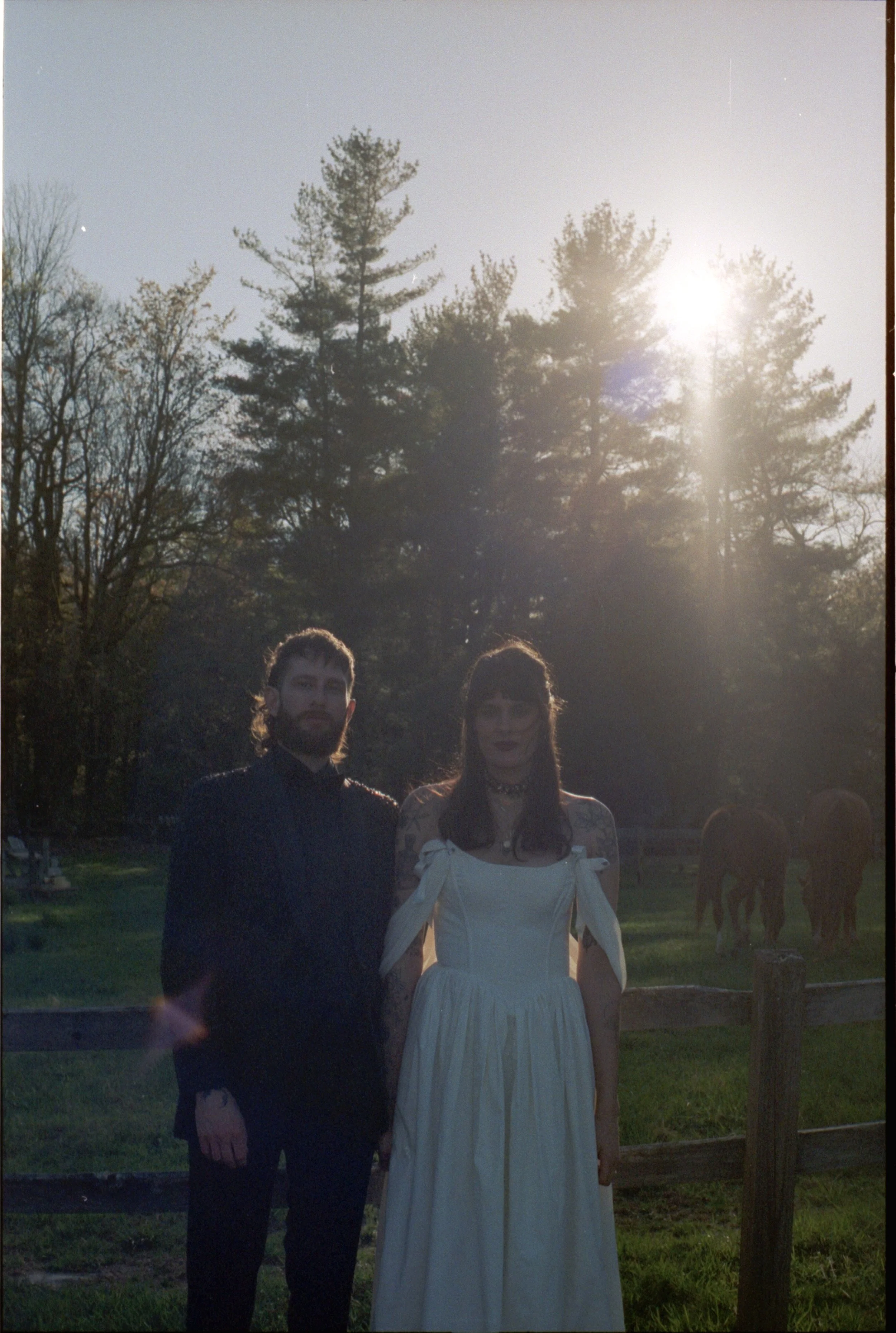 couple standing taking bridal portraits with horses in the background in boone north carolina