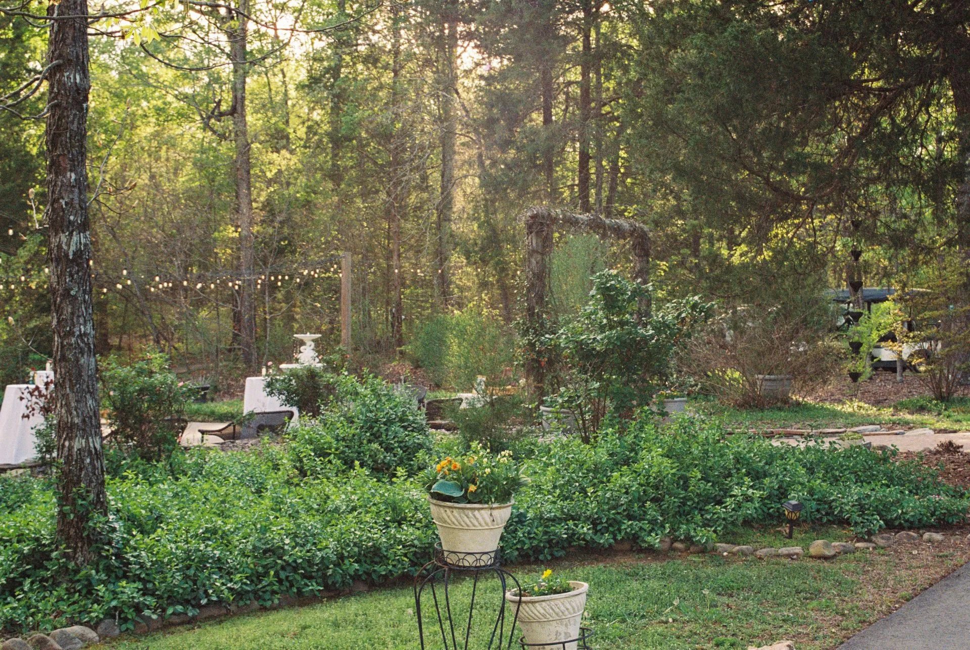 carolina country wedding venue golden light
