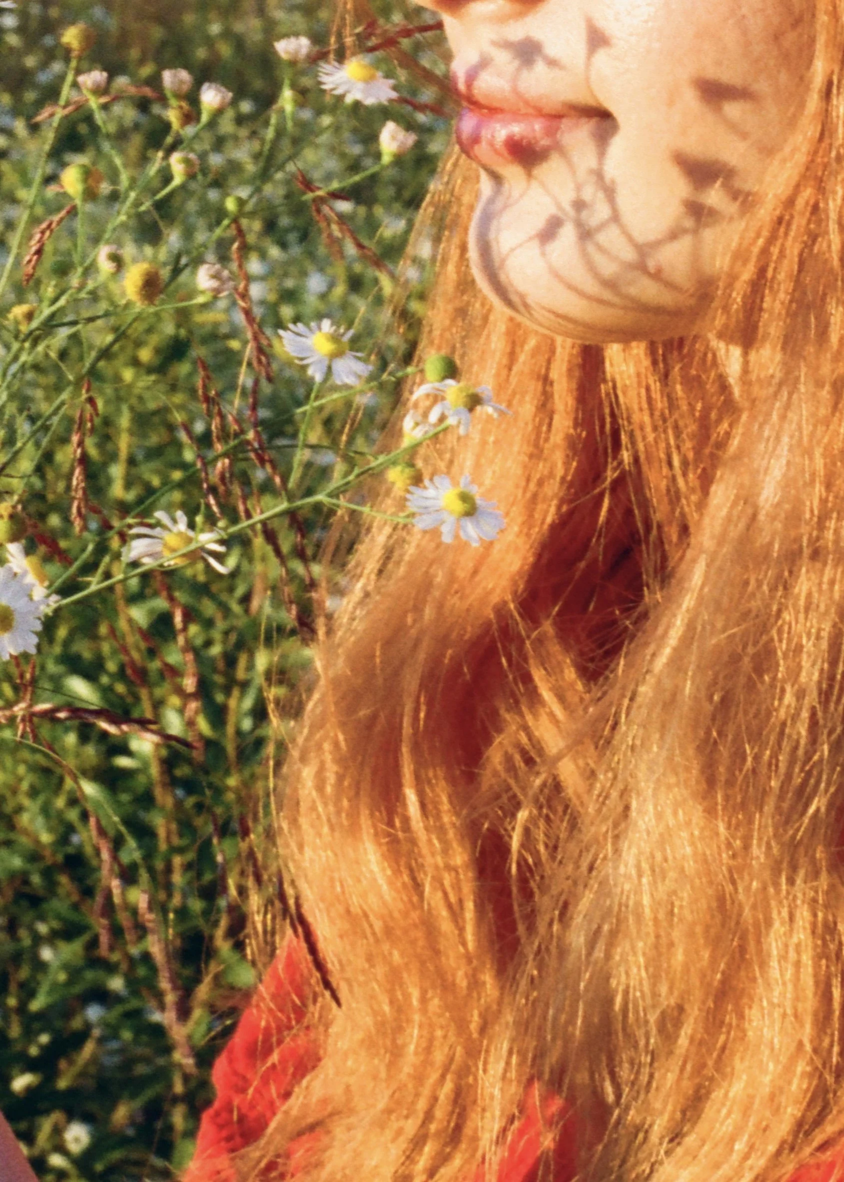 girl holding flowers in a field