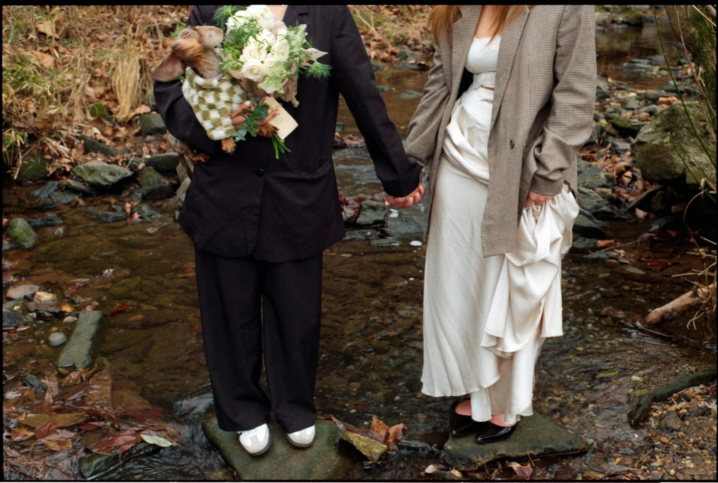 couple holding hands standing on rocks in a creek at the Asheville botanical garden