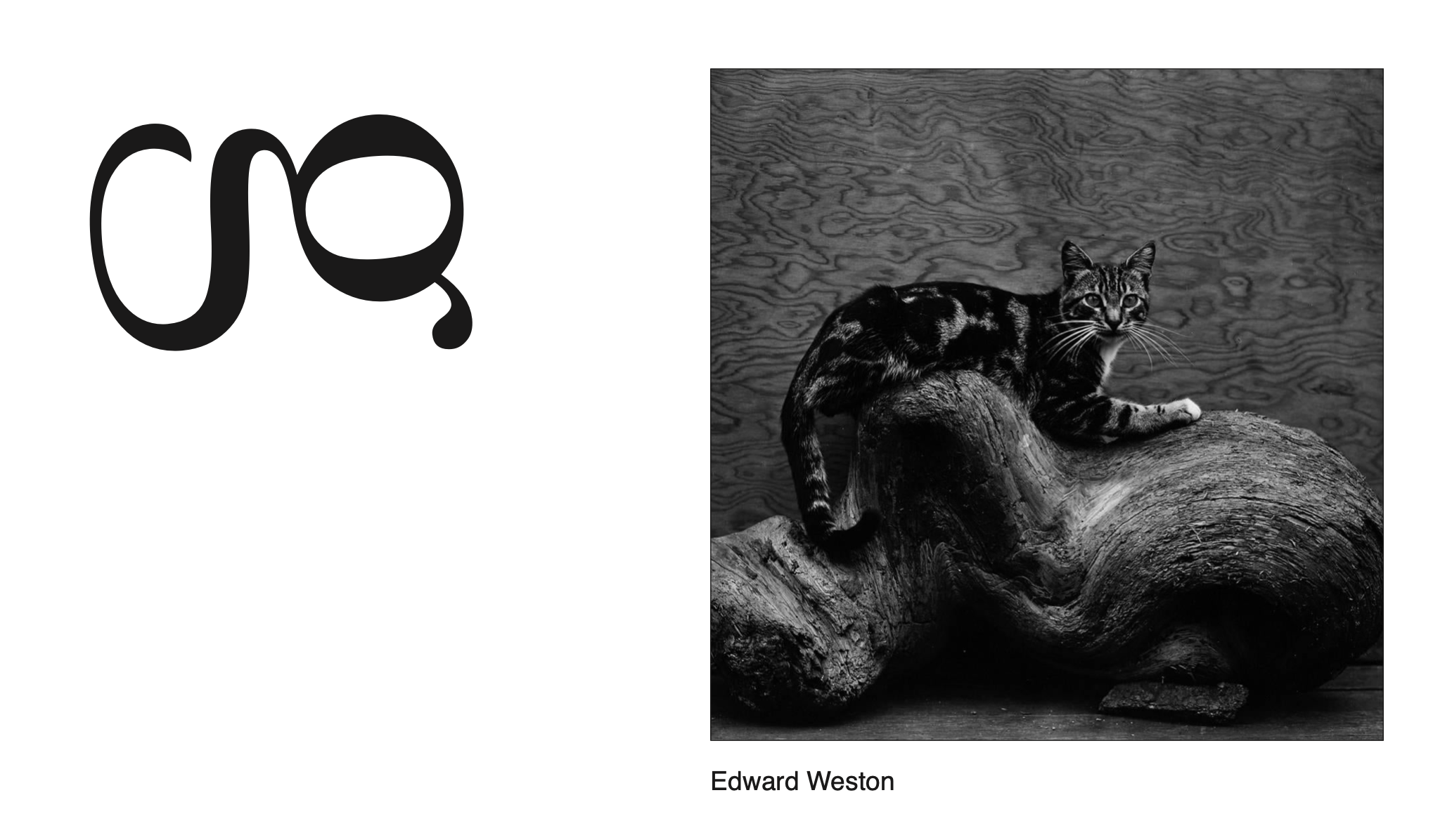 Screen Shot 2024-01-16 at 1.34.05 AM.png