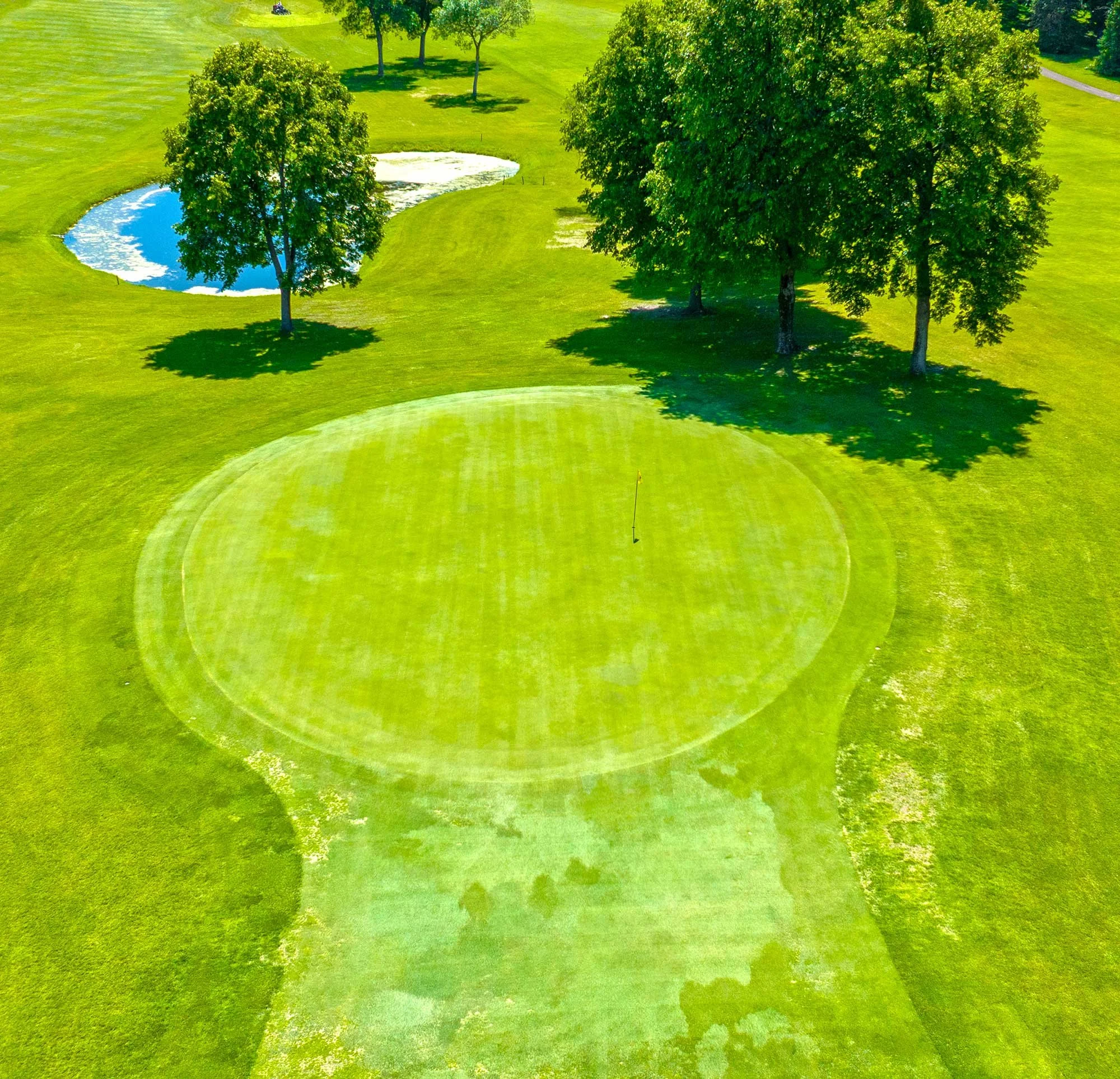 Deer Run Hole 7 Green