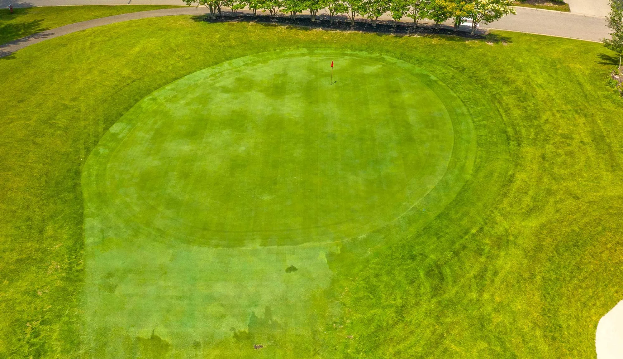 Deer Run Hole 14 Green