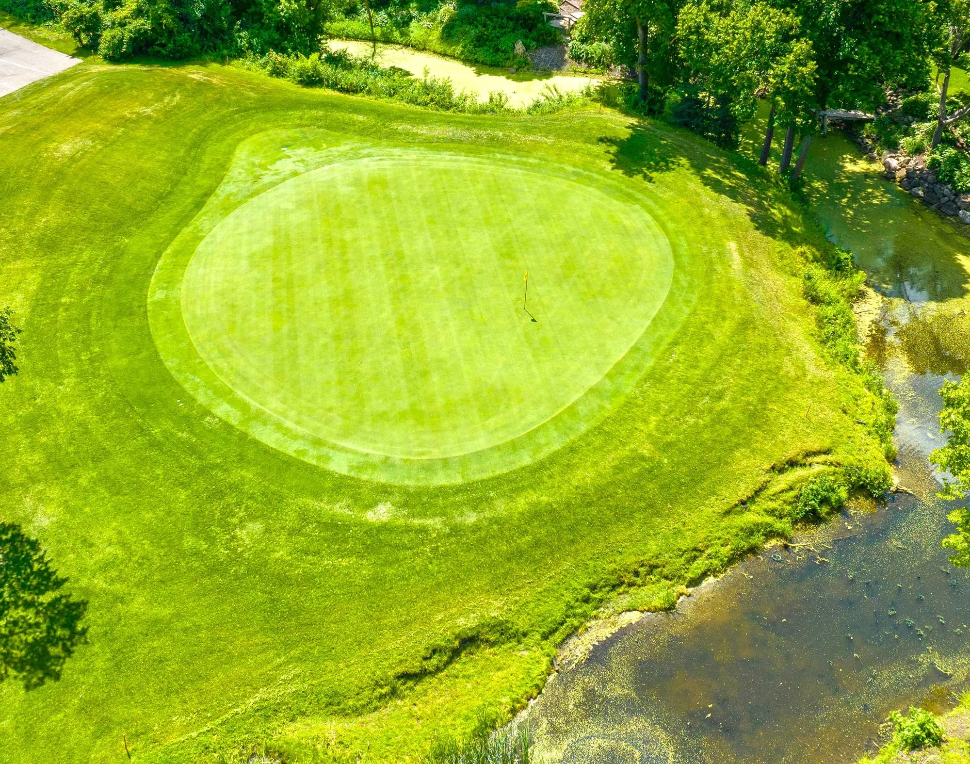 Deer Run Hole 9 Green