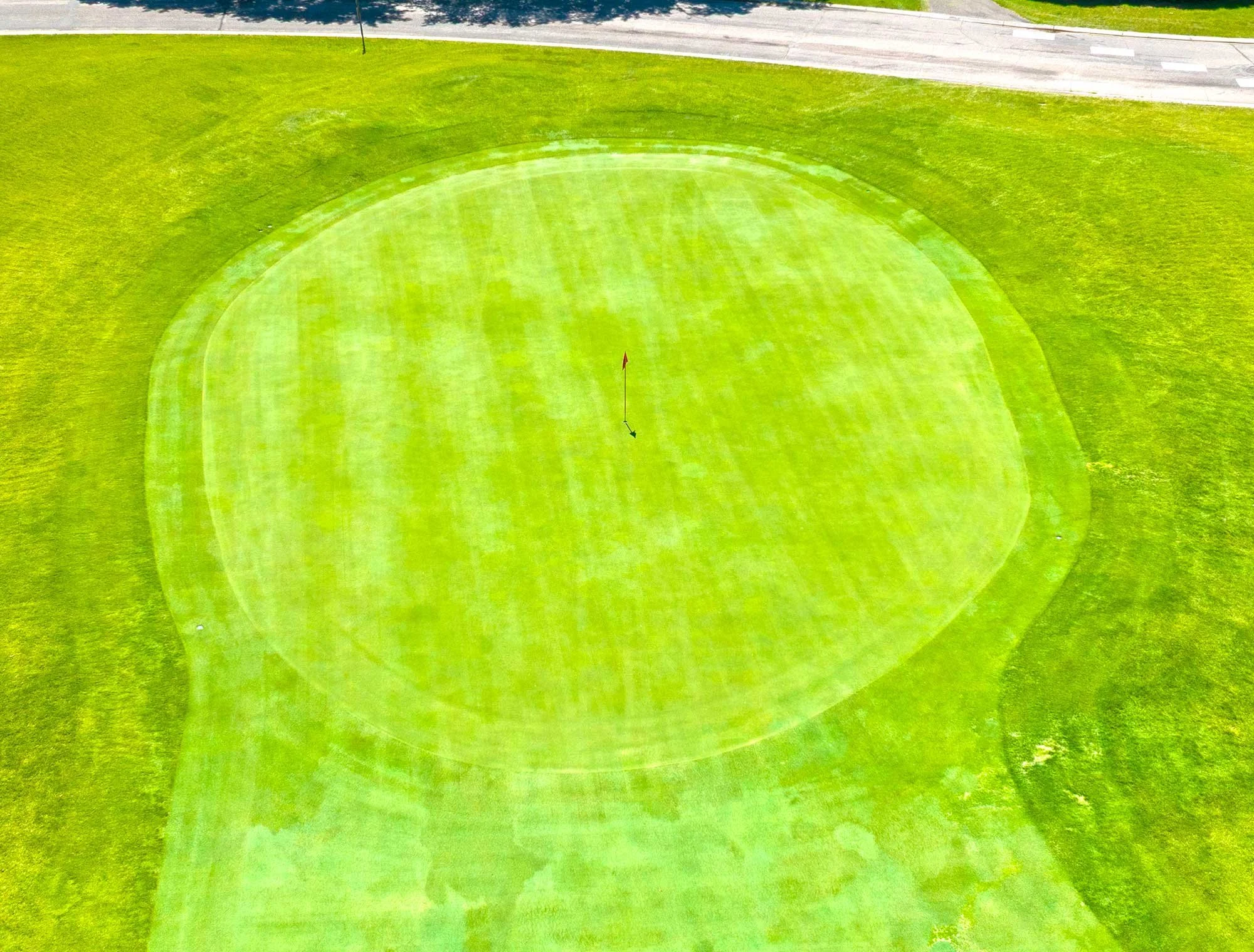 Deer Run Hole 10 Green