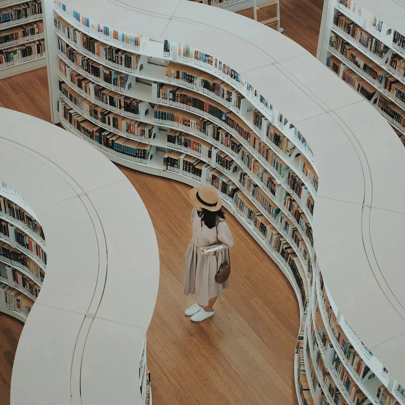 What I Did This Summer: A Joy for Books Book Review Story