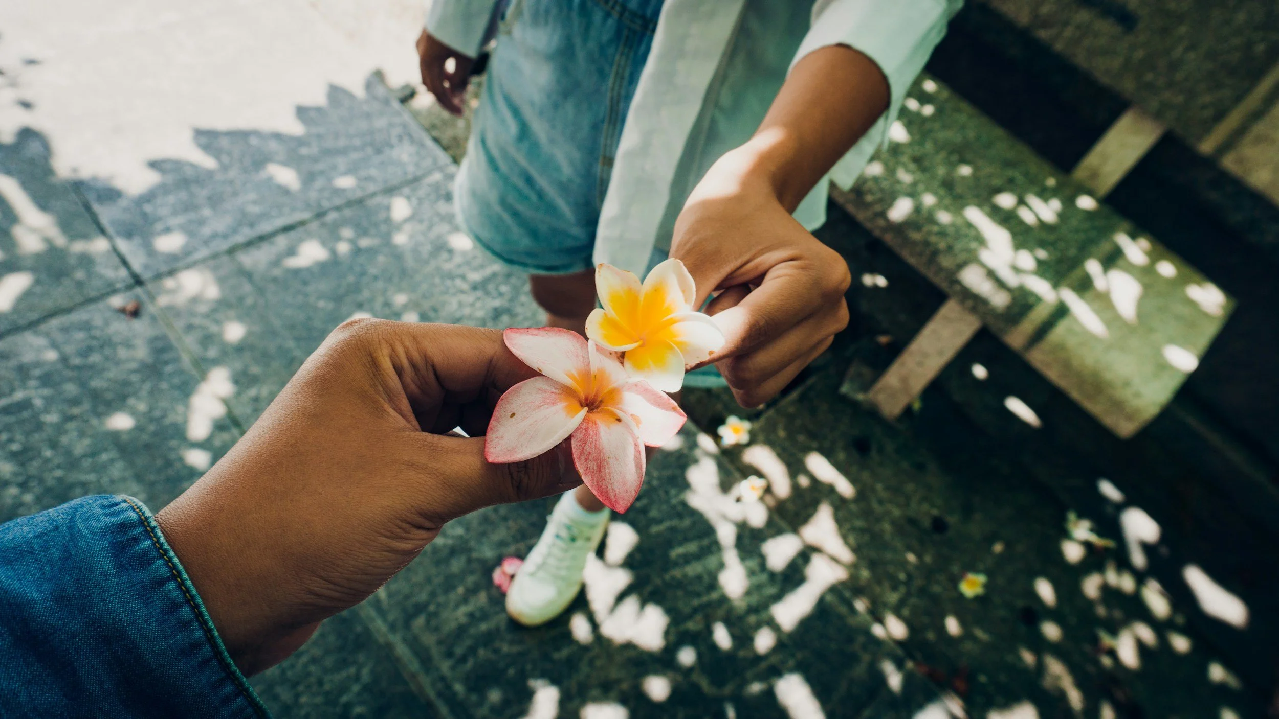 The Link Between Creativity &amp; Healing