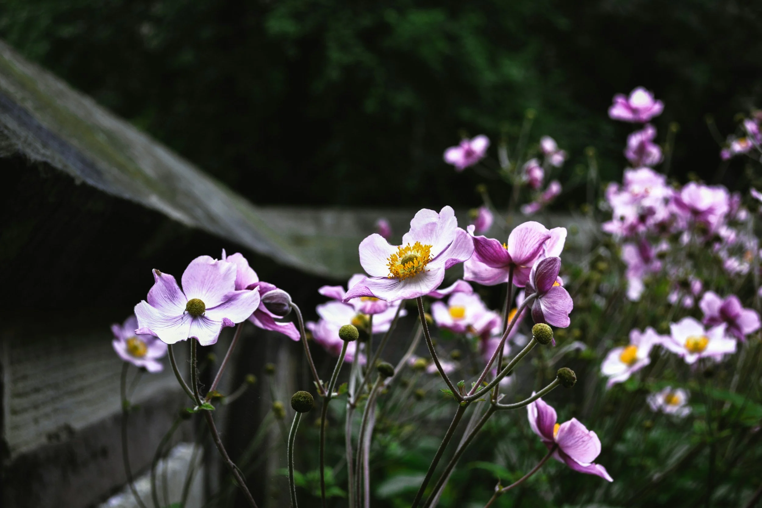 What Death Doula Work Teaches Me About Life
