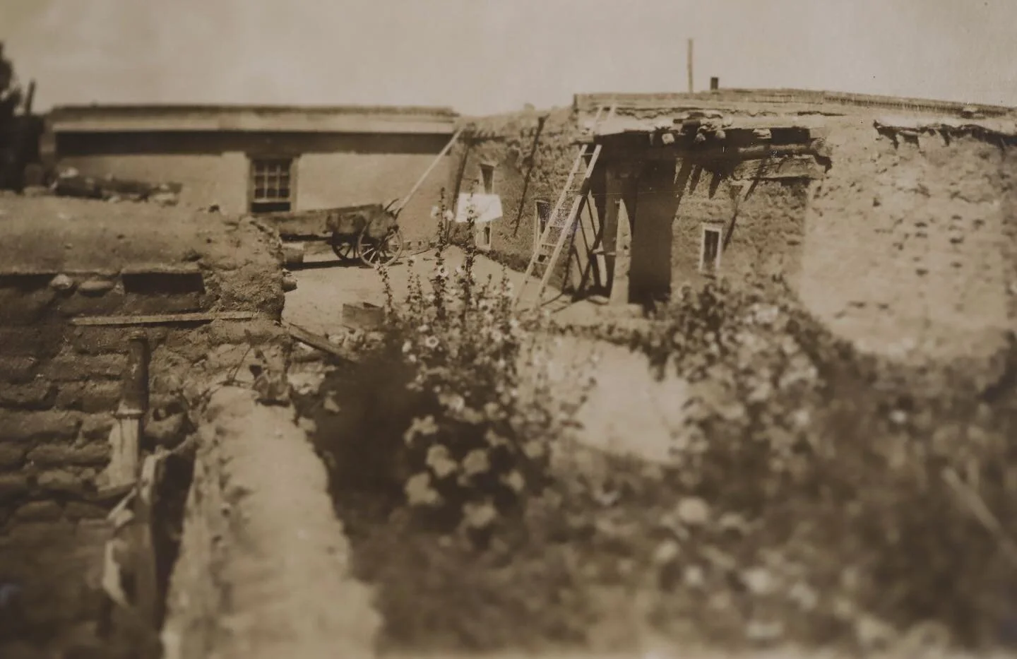 Canyon Road in 1918. 

Photo likely taken by Eva Fenyes.  Courtesy of the Fenyes-Curtin-Paloheimo collection at the Acequia Madre House. 

#santafenm #canyonroad #vintage #thecitydifferent #newmexicotrue #historicphoto #simplysantafe #insidesantafe #