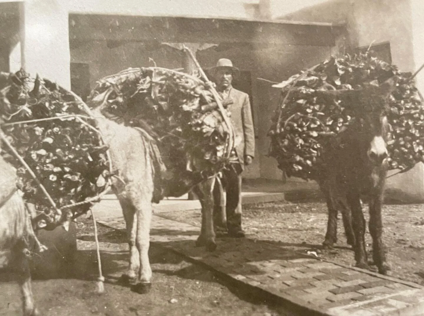 Santa Fe, 1919. 

&ldquo;It would not have been strange at all for an American to be going down Canyon Road and see sheep being brought up from the fields or farmers bringing fanegas of corn or wheat to sell in order to sustain their families.&rdquo;