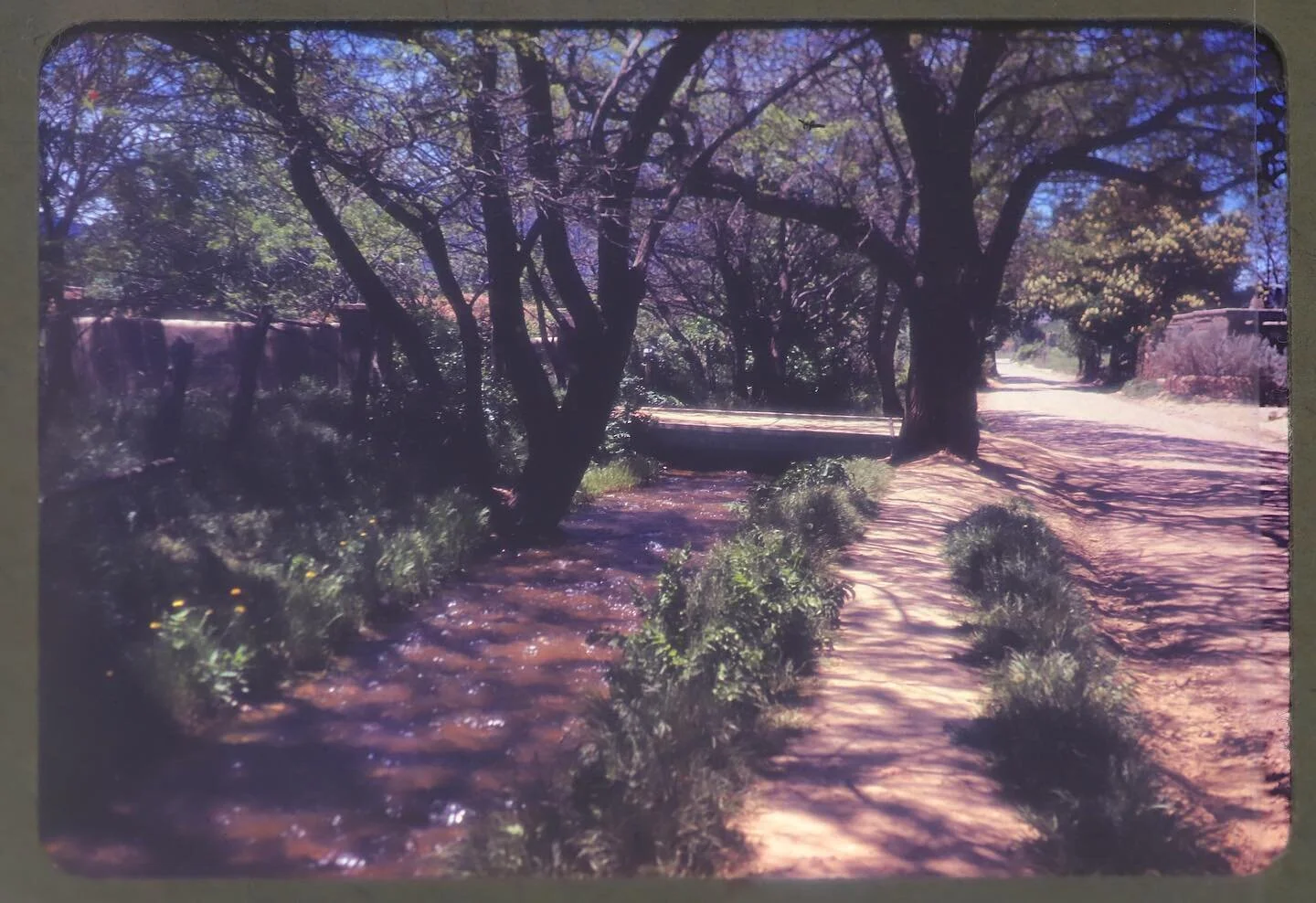 Acequia Madre in the 1940&rsquo;s.  Photo likely by Leonora Curtin. 

In 1953 the city of Santa Fe sent this letter to residents of the neighborhood.  It reads in part:

&ldquo;Because of the narrowness on Acequia Madre caused by the acequia, the cit