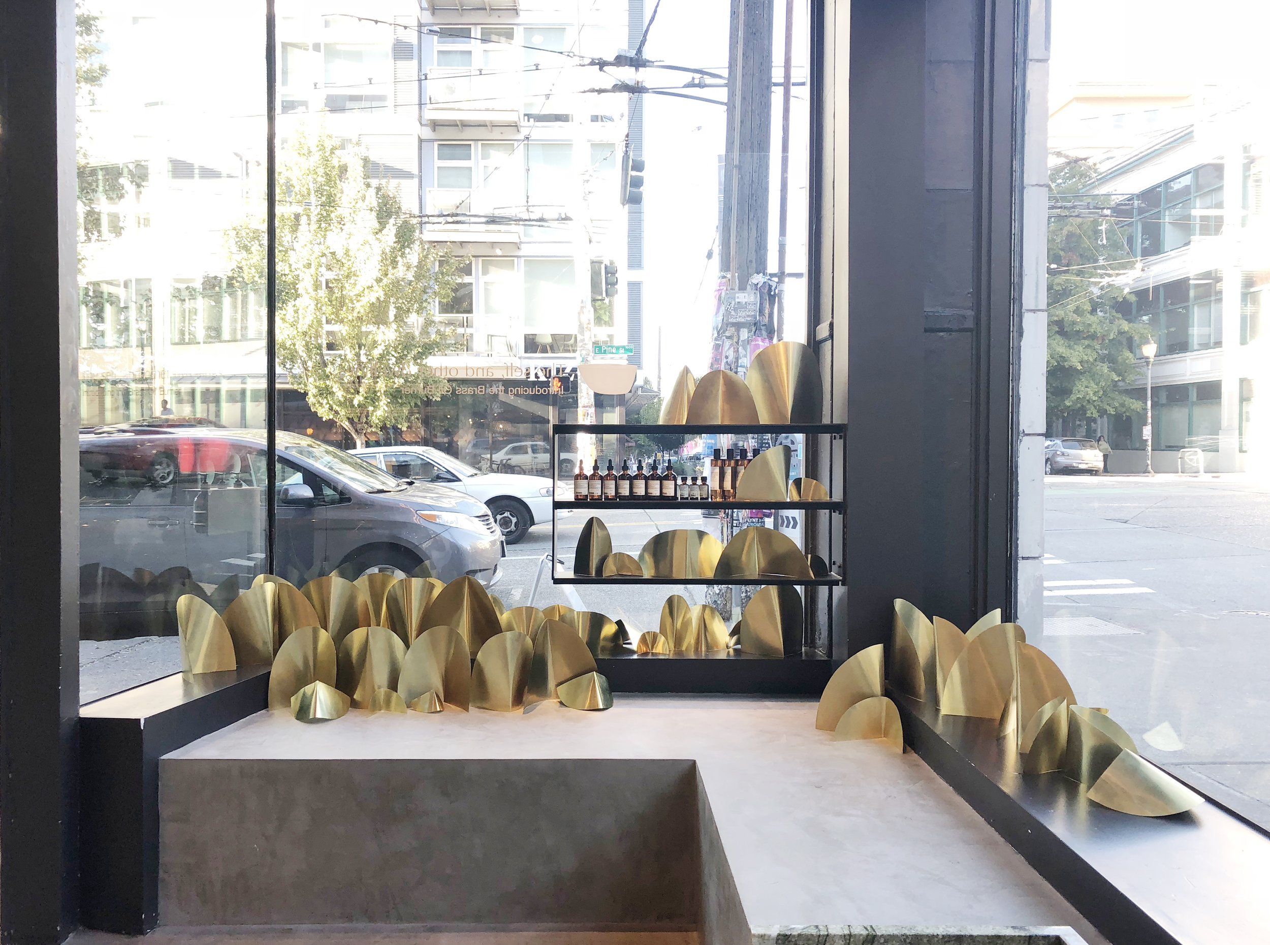 Capitol Hill-inside out.JPG