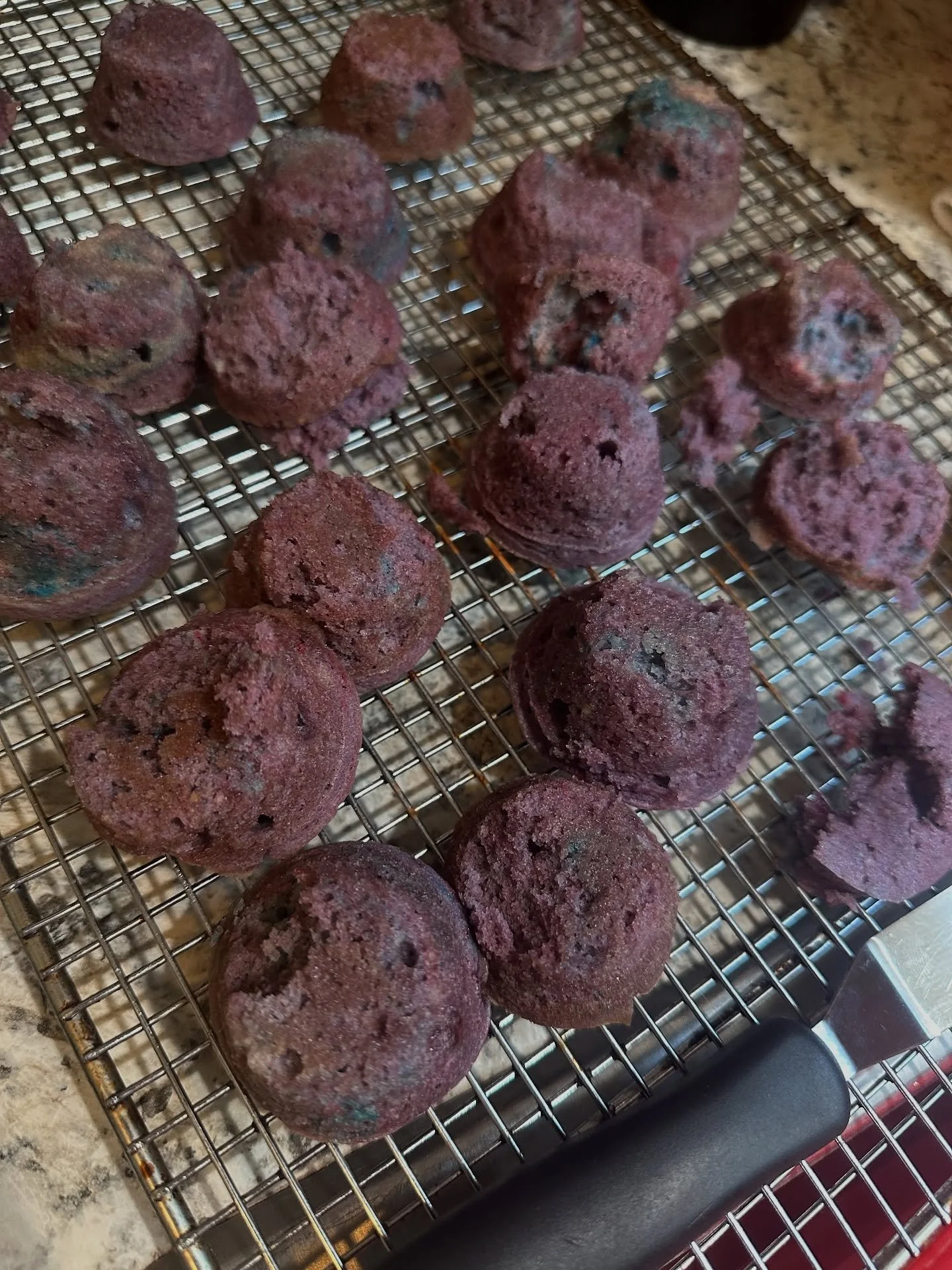 Failed early this week. Tried making eggless blueberry cupcakes&mdash;no good. 🧁 

Cleaned up and moving on to something else.

Not every experiment works out, and that&rsquo;s okay. Just like the book we&rsquo;ve been reading to our kids, &ldquo;Th