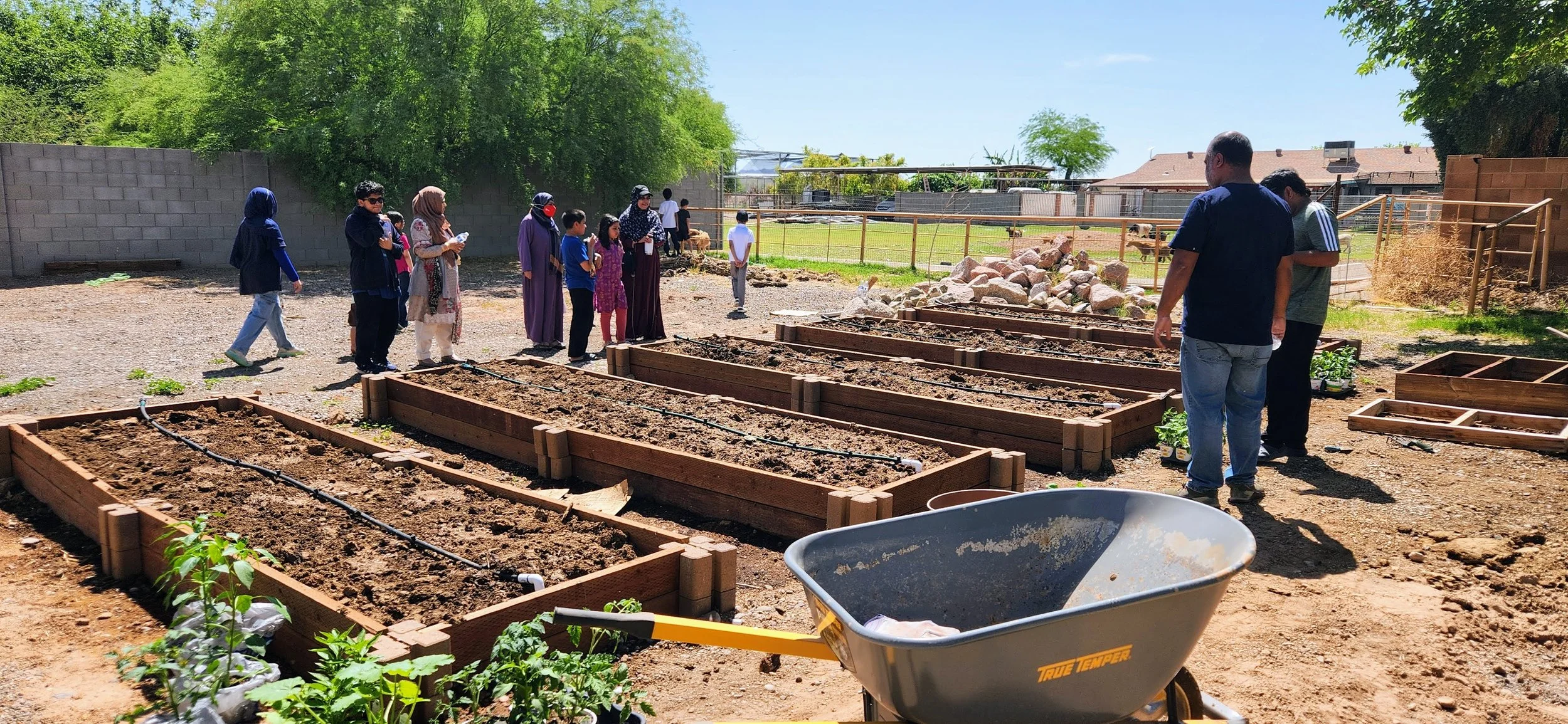 20250412_110015 (1).jpg