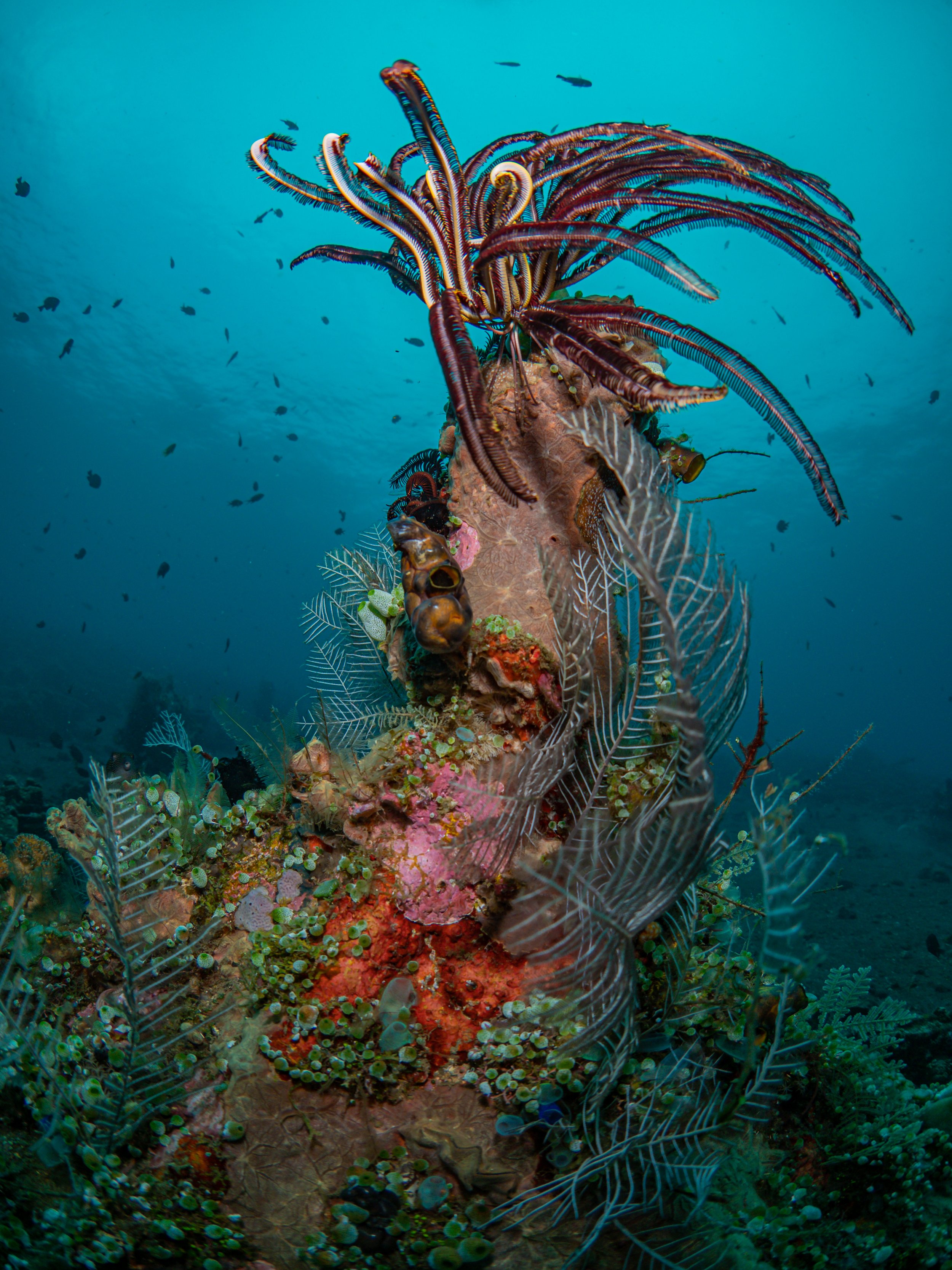 P1011351-3.jpg