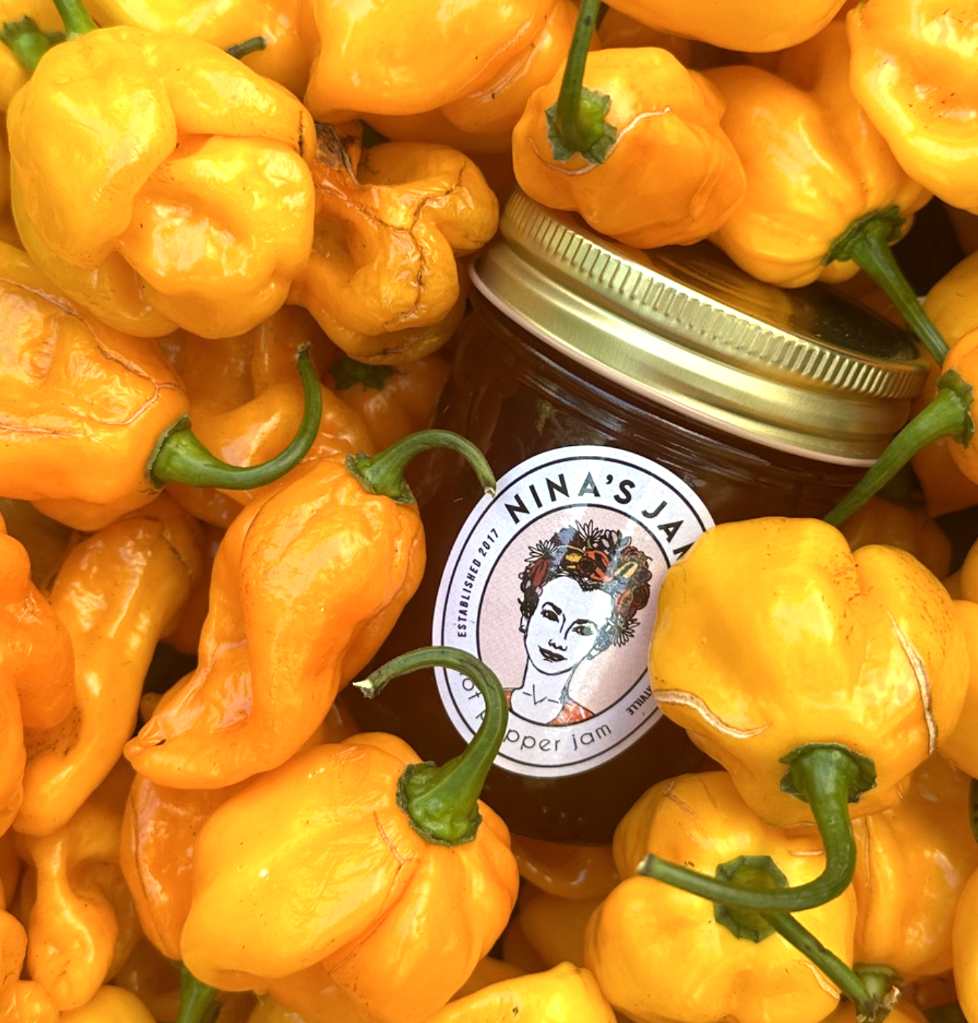 Screen Shot 2025-11-23 at 10.12.35 PM.png