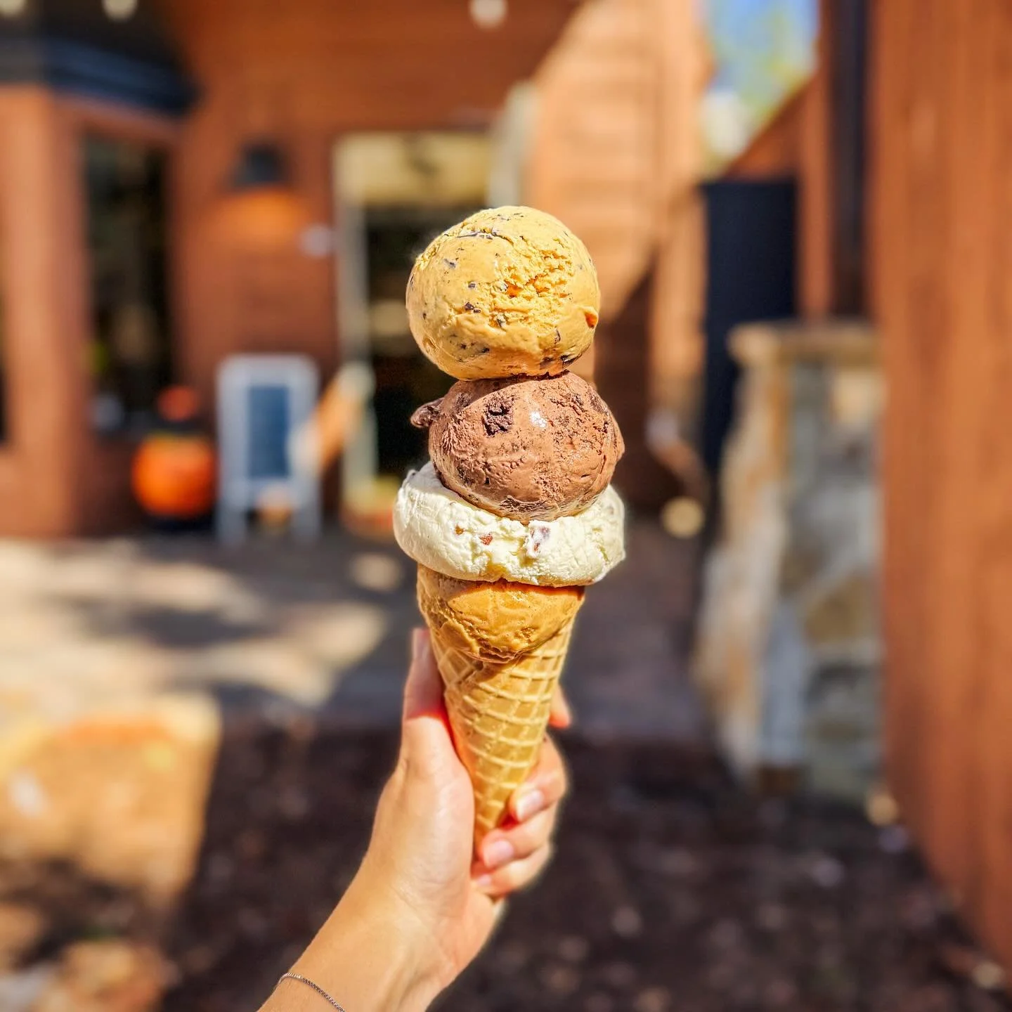 It&rsquo;s officially fall at The Colorado Creamery! 🎃 Our seasonal flavors are in the dipping cabinet - for a limited time only!

Stop by + enjoy a scoop of Pumpkin Chip, Dirt and Worms, Salted Maple Pecan, or Vegan Pumpkin Chai!