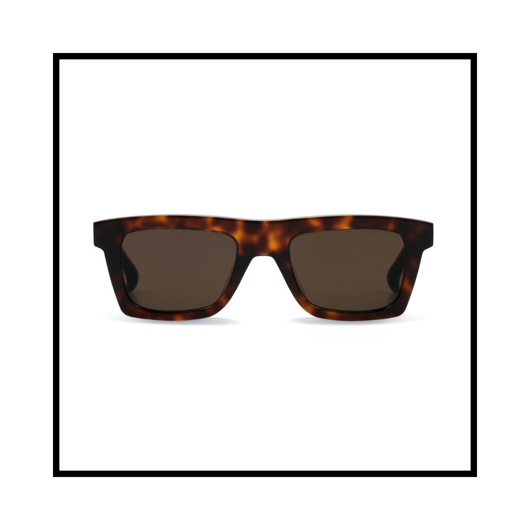 AM Eyewear Sunglasses