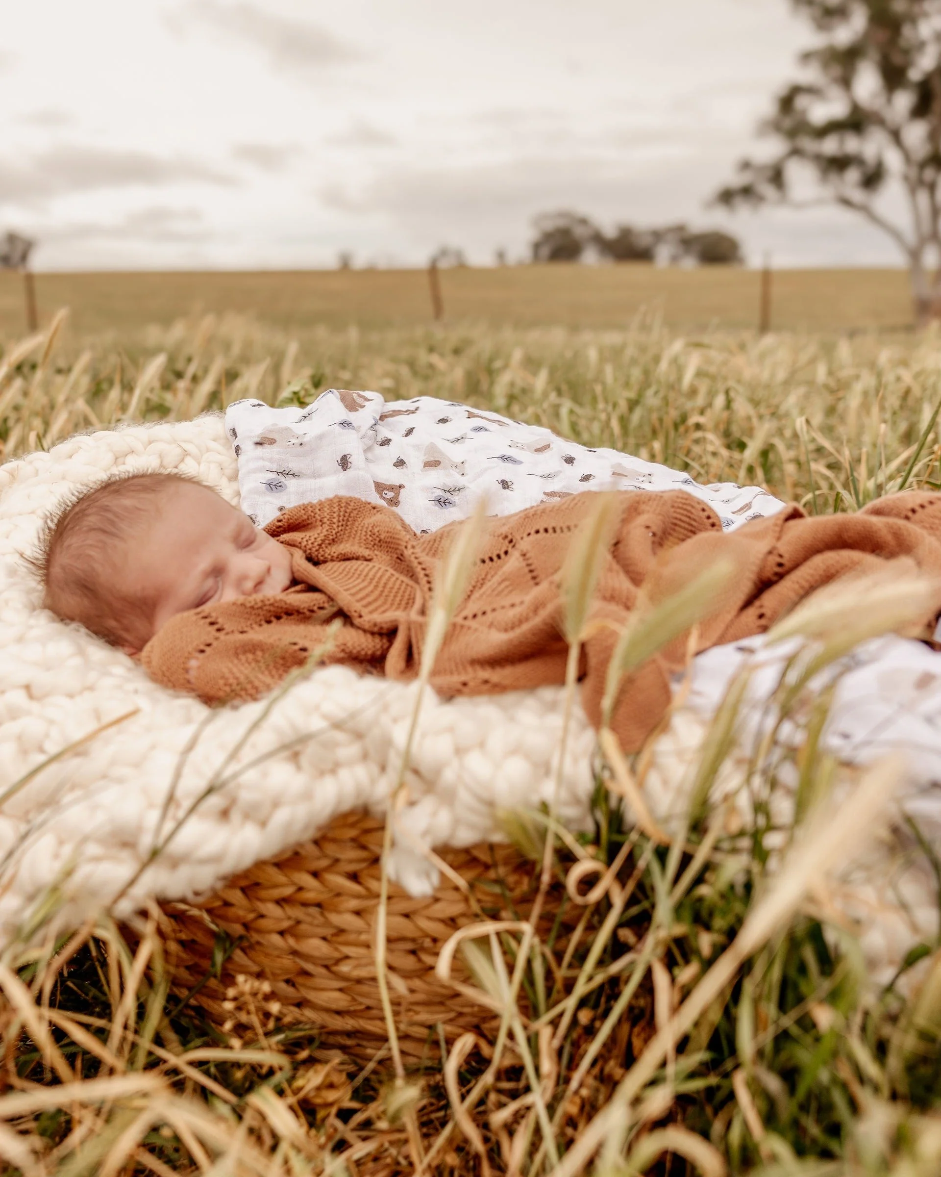 We are excited to say our family is finally complete with the safe arrival of Harry just over 3 weeks ago. 

Wyatt is being a wonderful big brother and Harry has slotted right in perfectly. I was blessed with a fast, smooth birth, thats left me feeli