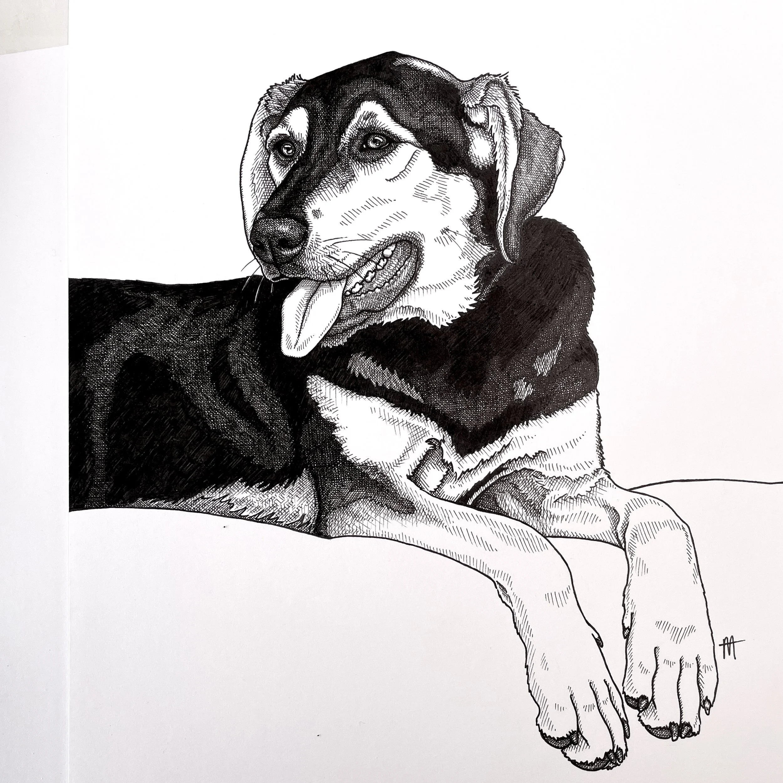 Flo the Farm Dog 🐾 A4 Ink Drawing