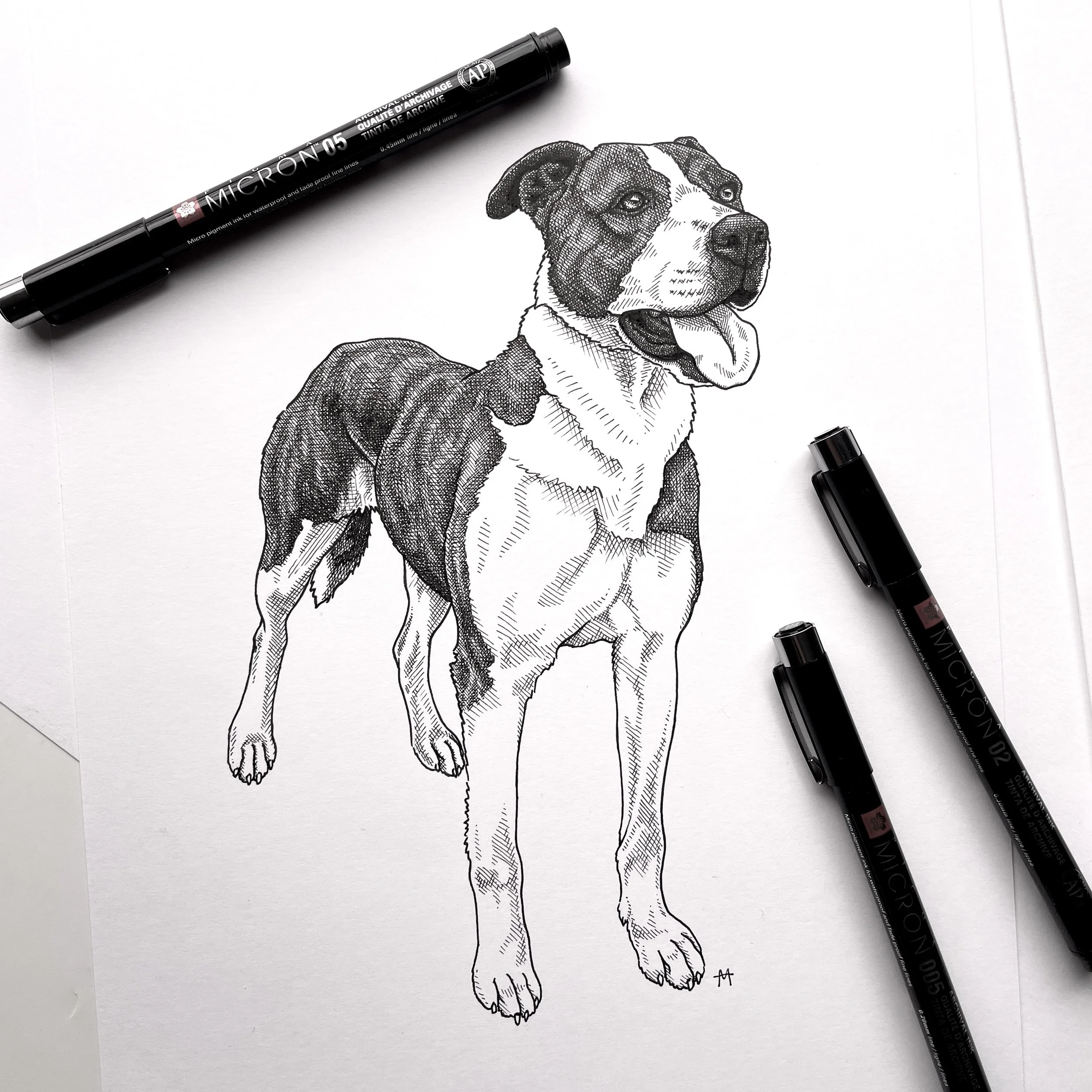 Spook the Pig Dog 🐾 A4 Ink Drawing