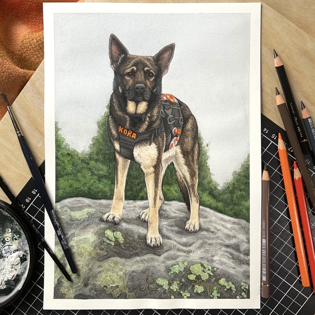 Kora (LandSAR) 🐾 A4 Watercolour Painting