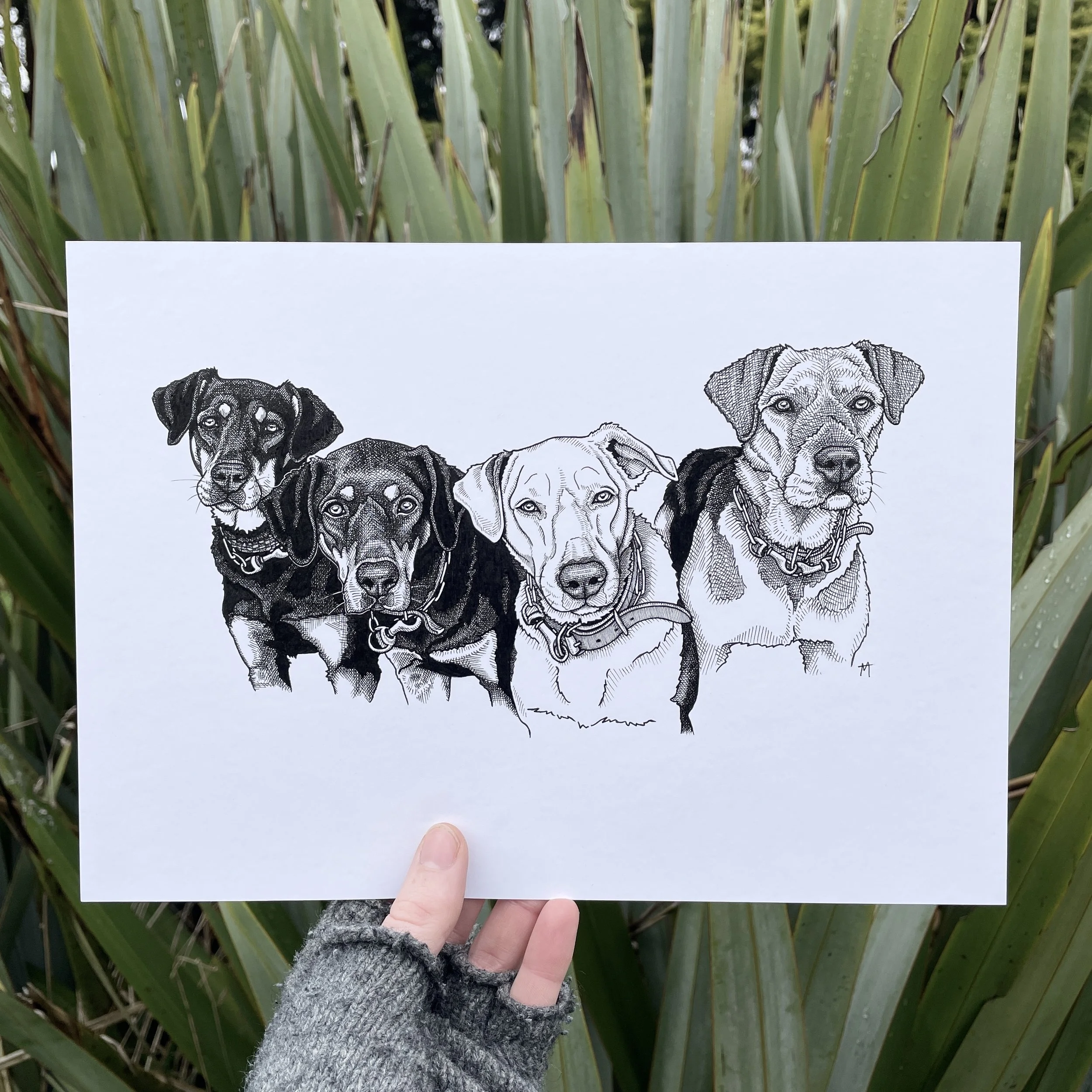 Courtney, Toa, Blue & Duke ๐พ A4 Ink Portrait