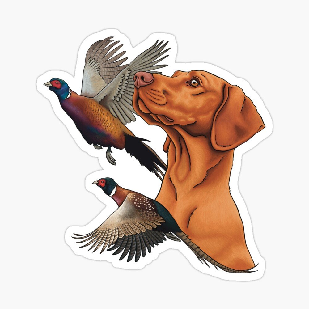 work-166293080-sticker.jpg