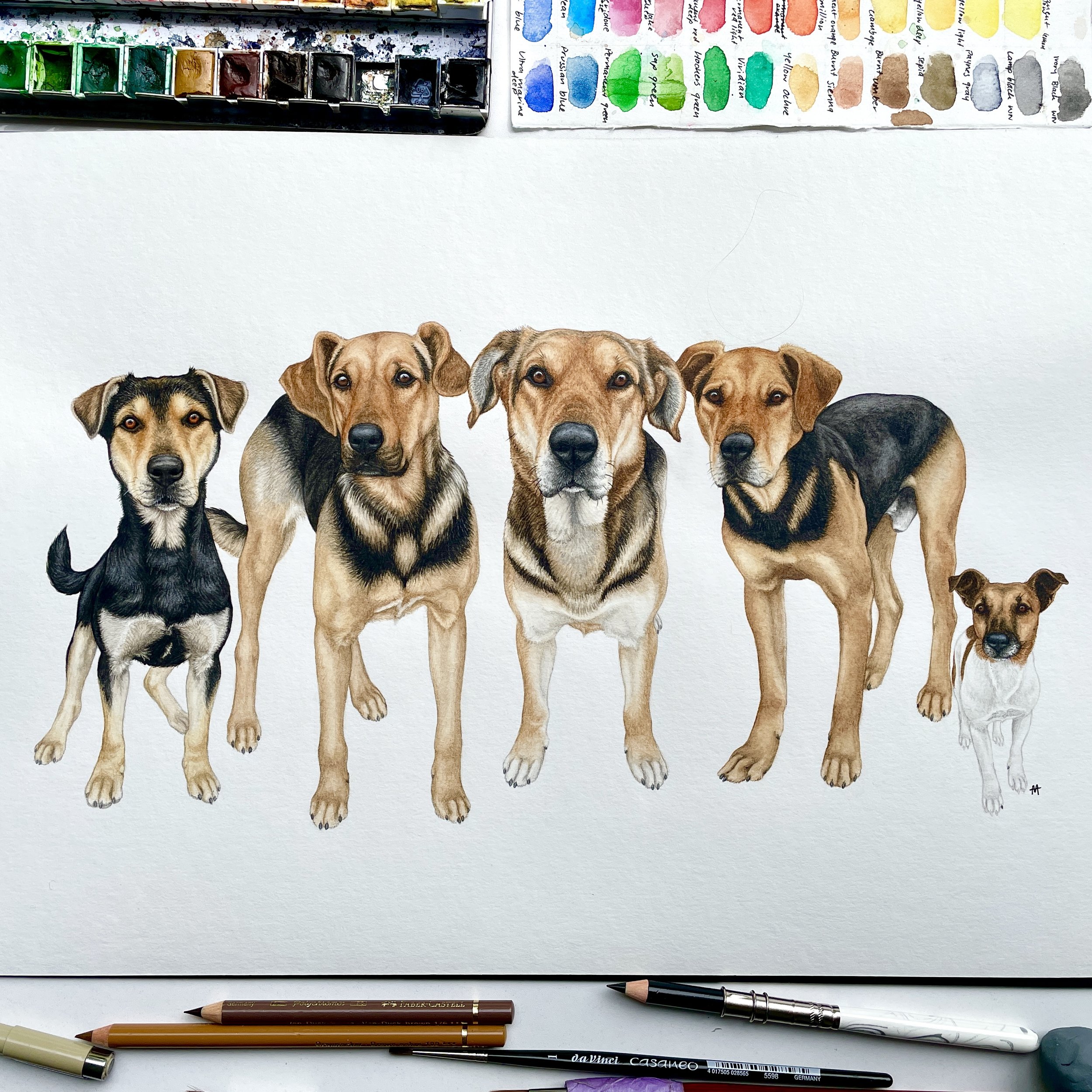 Huntaway Team 🐾 A3 Watercolour Portrait