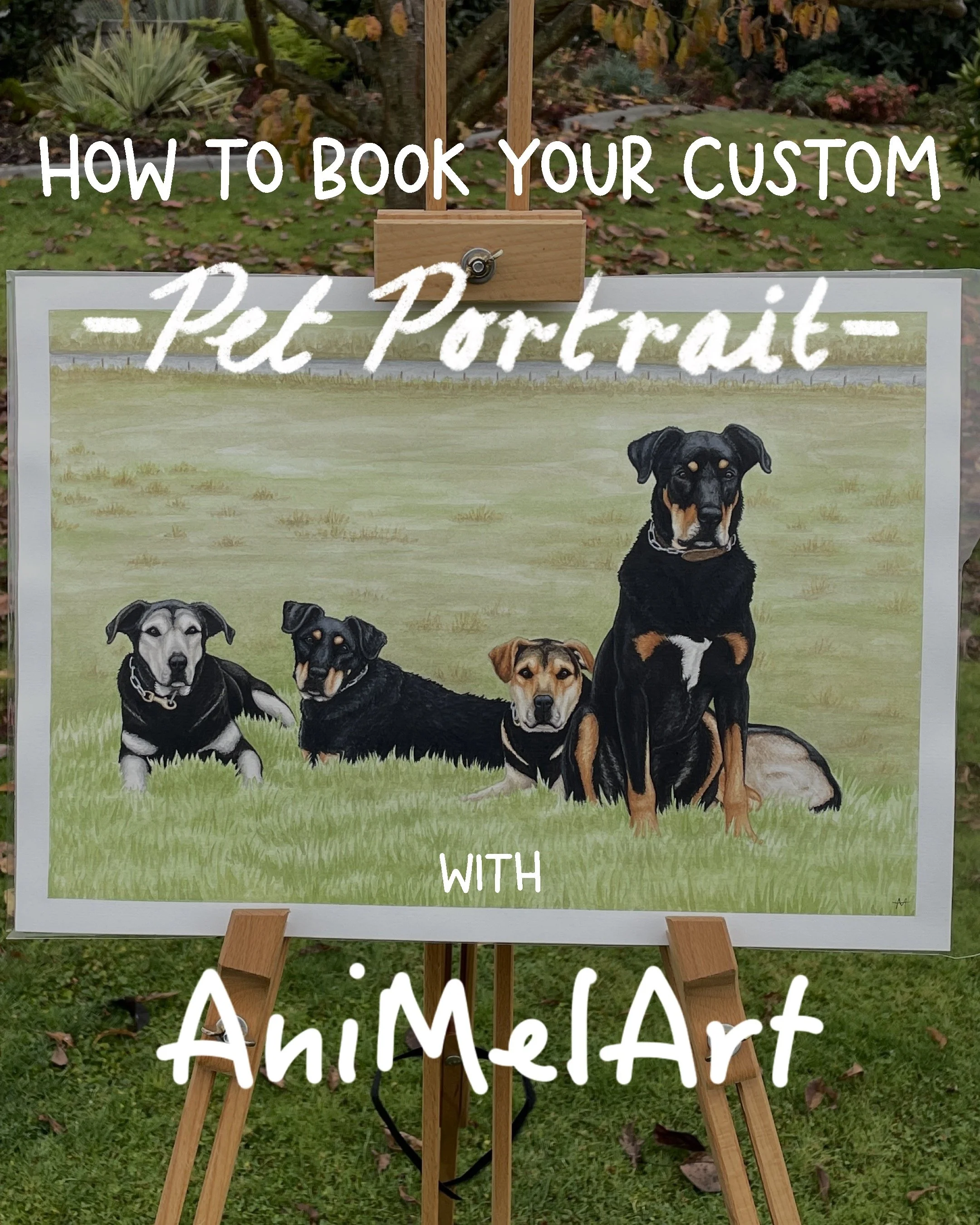 How to book your custom portrait with AniMel Art