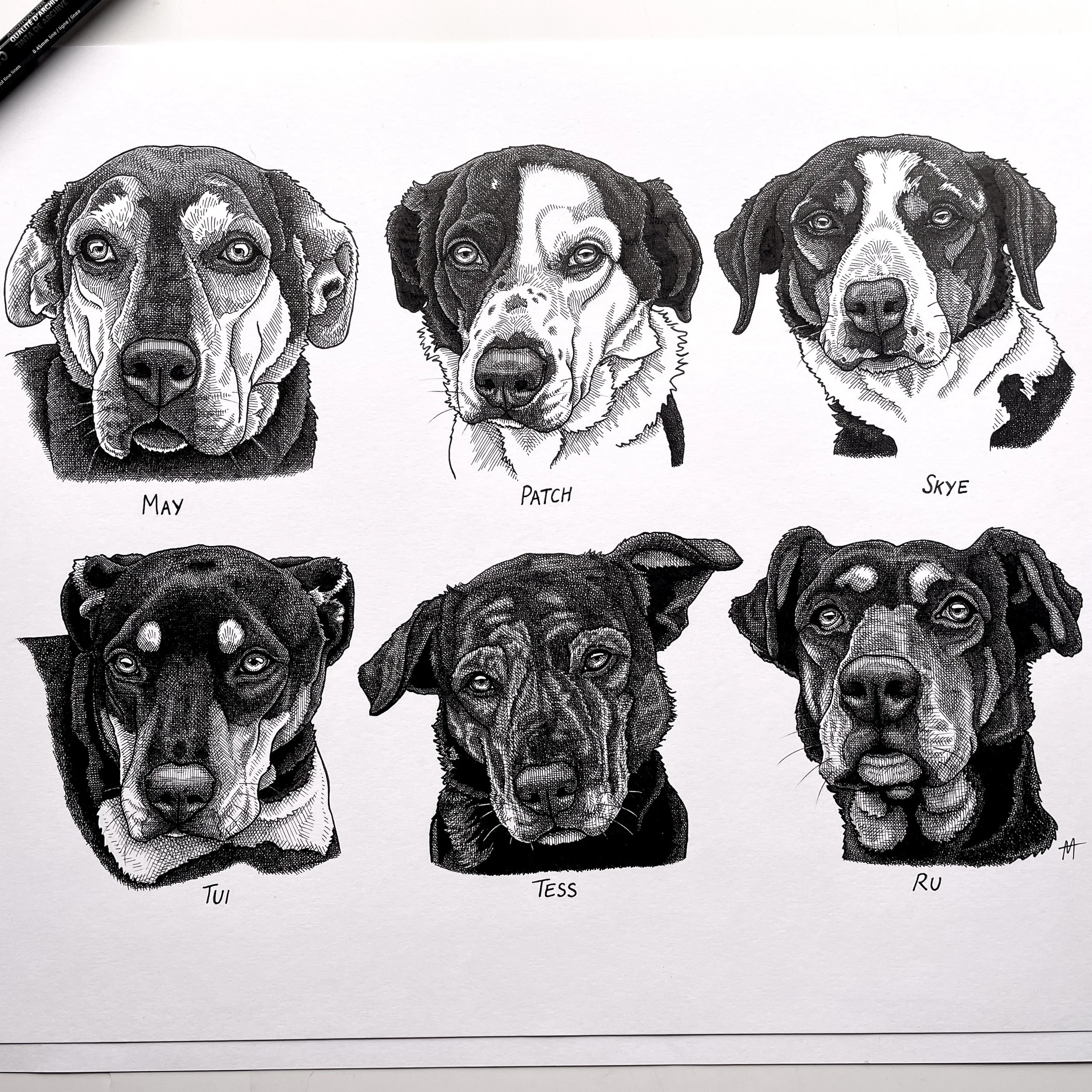 Farm Dog Team  🐾 A3 Ink Drawing