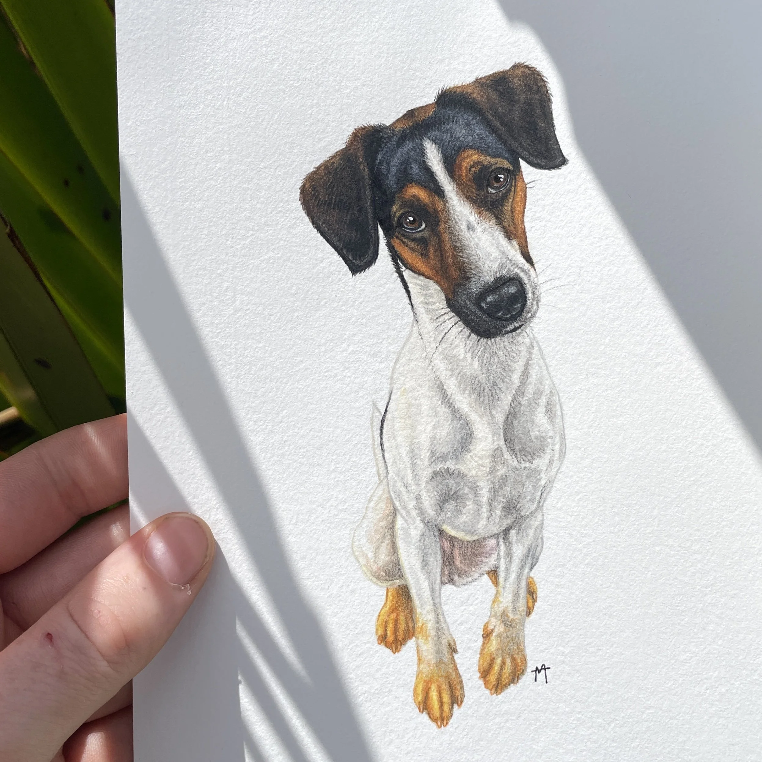 Gin 🐾 A5 Watercolour Painting