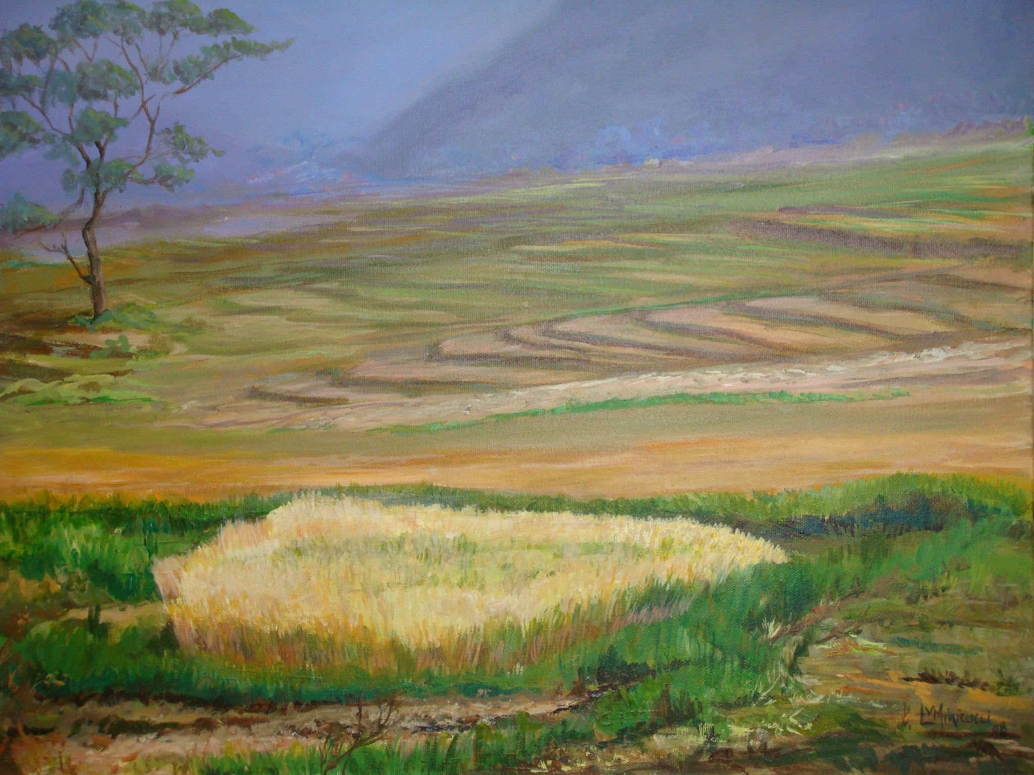 Rice fields, Buhtan