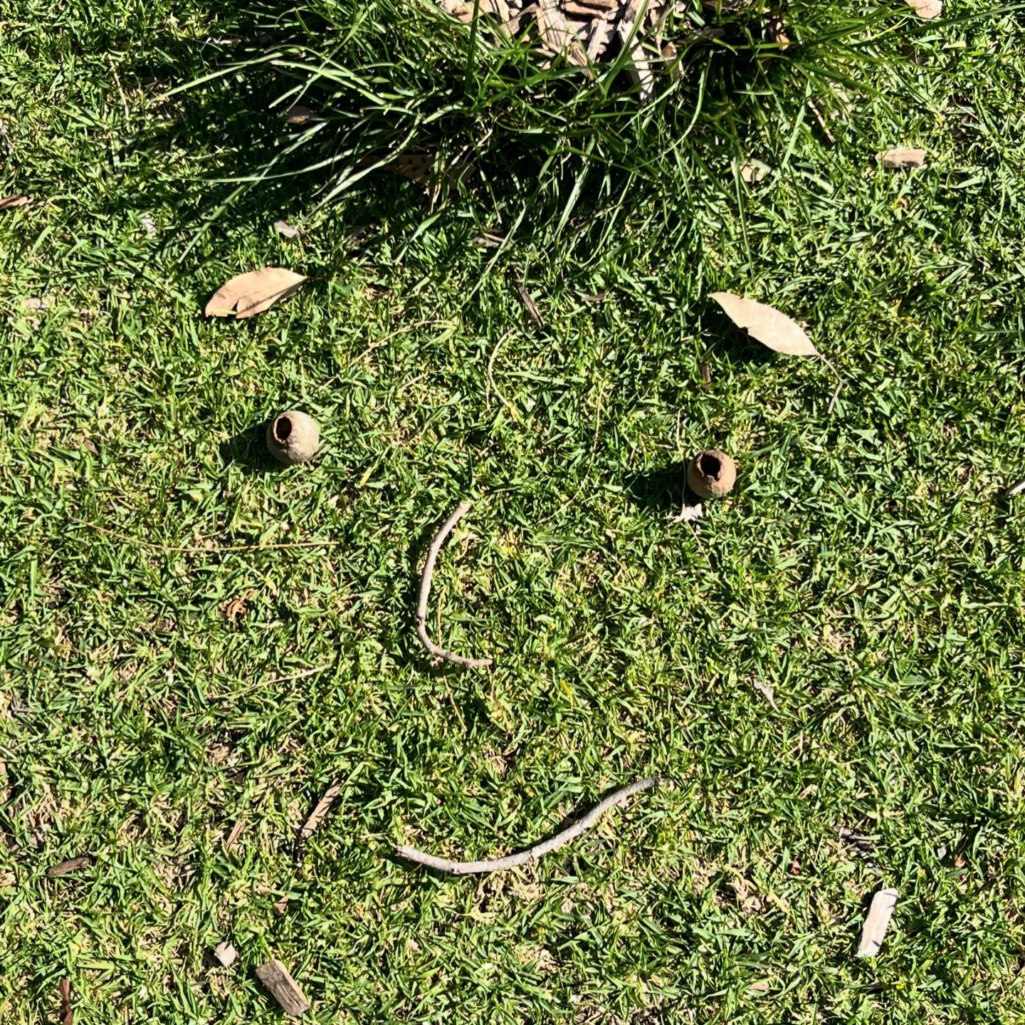 If you&rsquo;re feeling the dreaded creative block (or honestly any sort of &lsquo;stuck&rsquo; feeling), go outside immediately and make faces with whatever nature you can get your hands on. 

This is such a quick, fun, easy way to get the juices fl