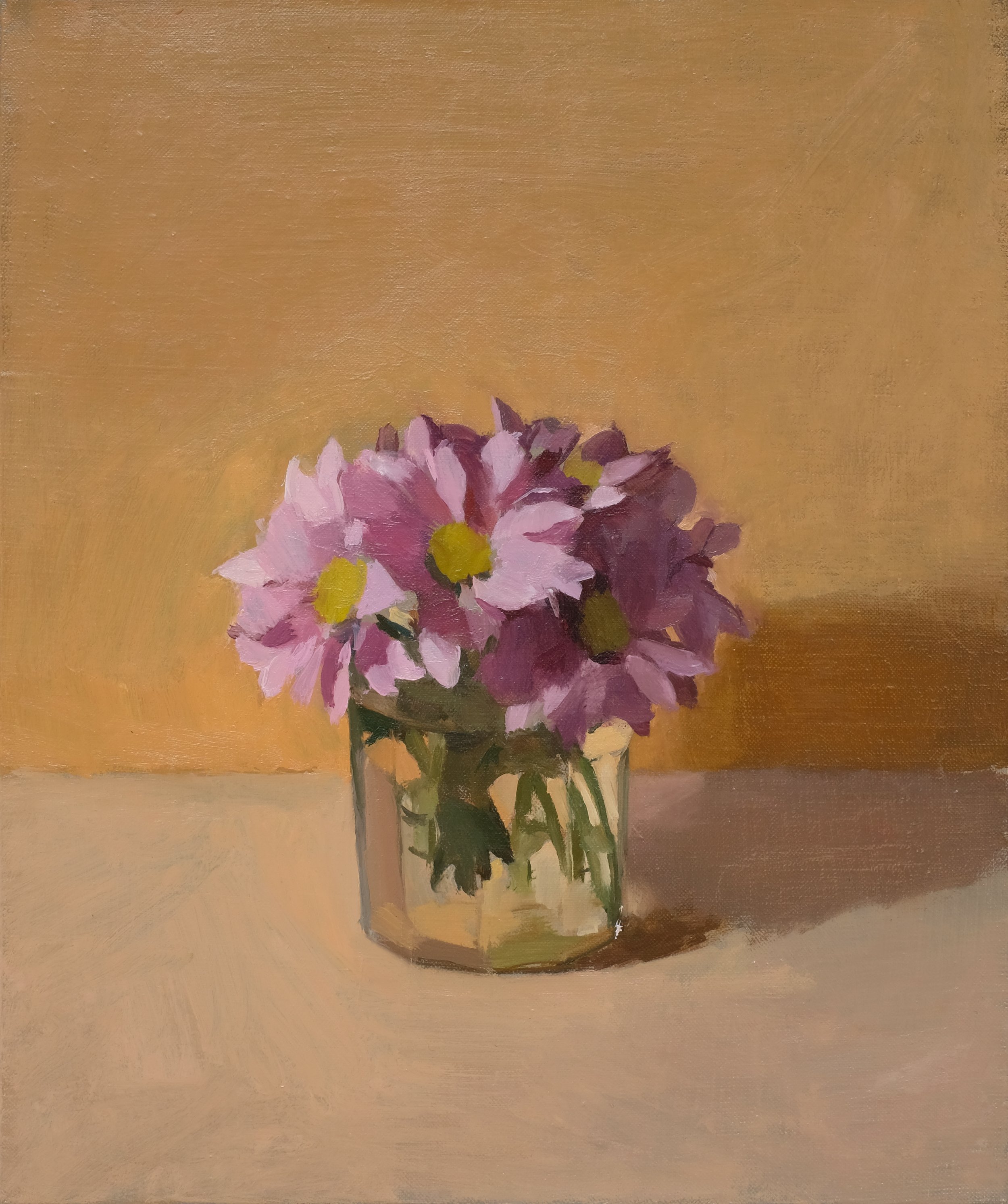 Daisies