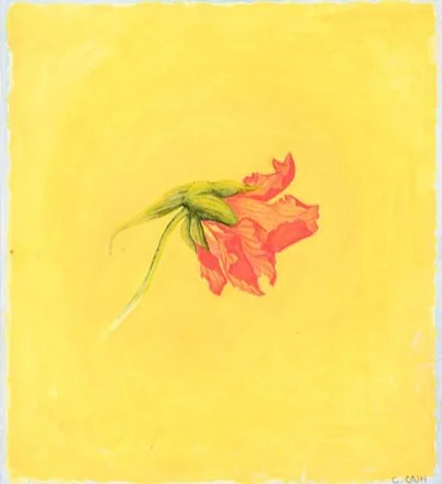 botanical on paper