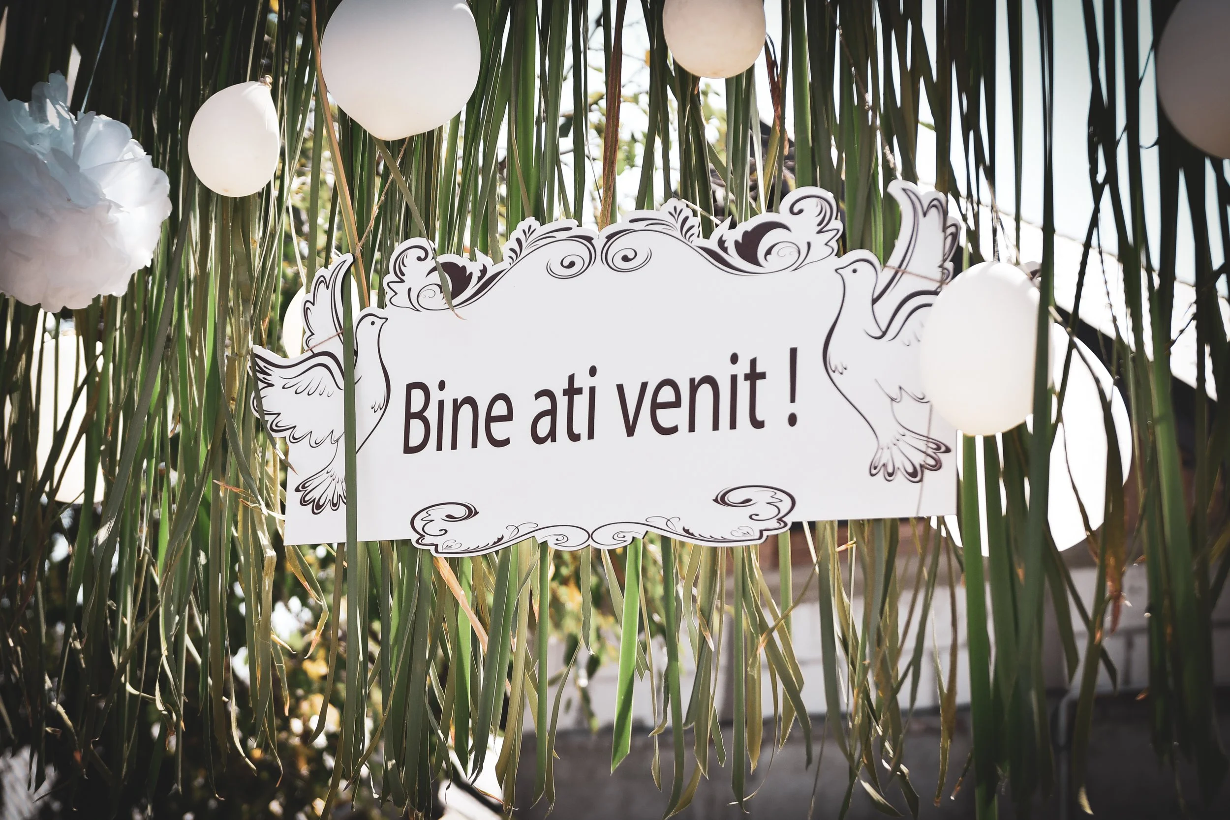 Portofoliu nunta 2022 (33 of 175).jpg