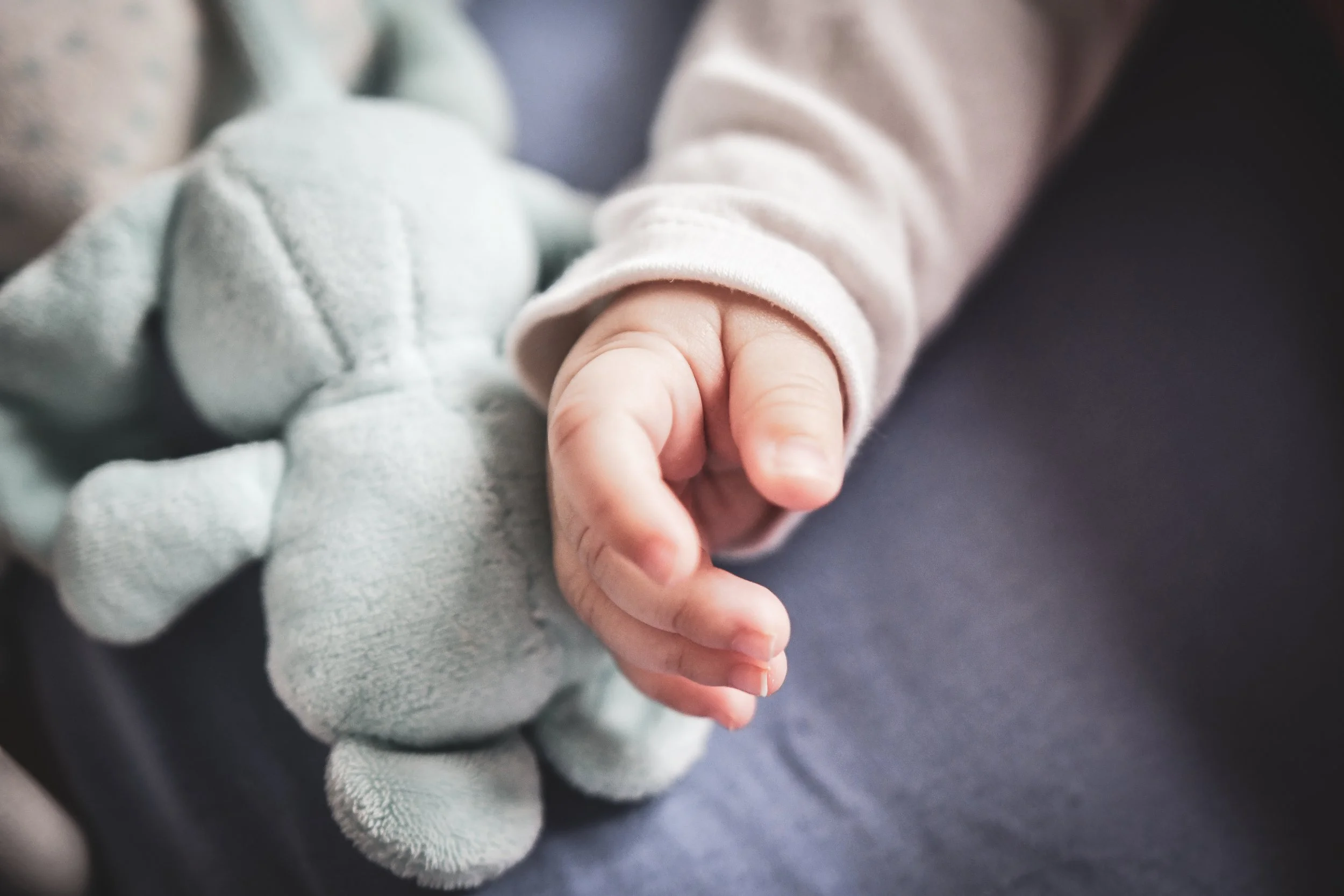 Portofoliu 2022 (70 of 87).jpg